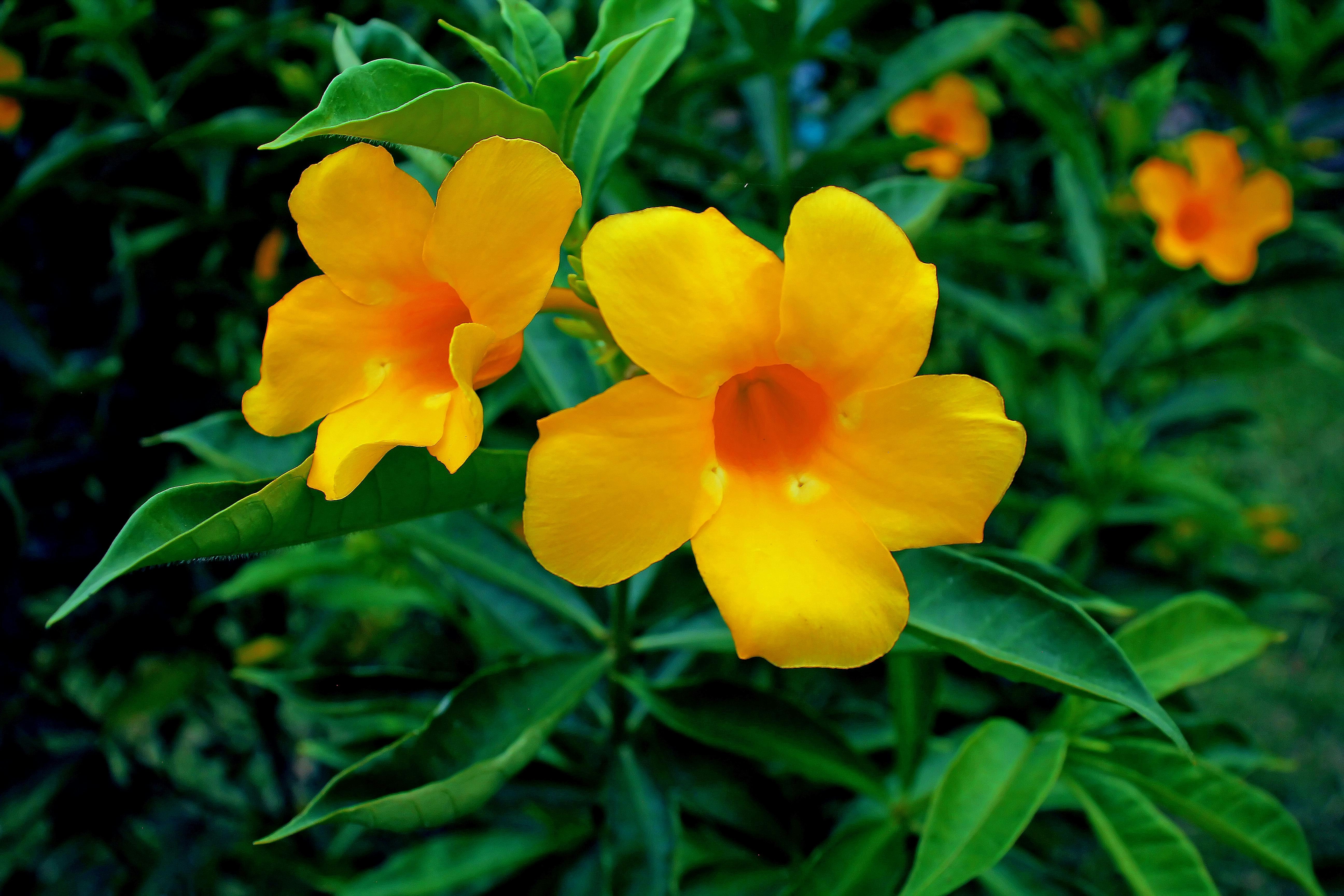 Photo by nazruls_official