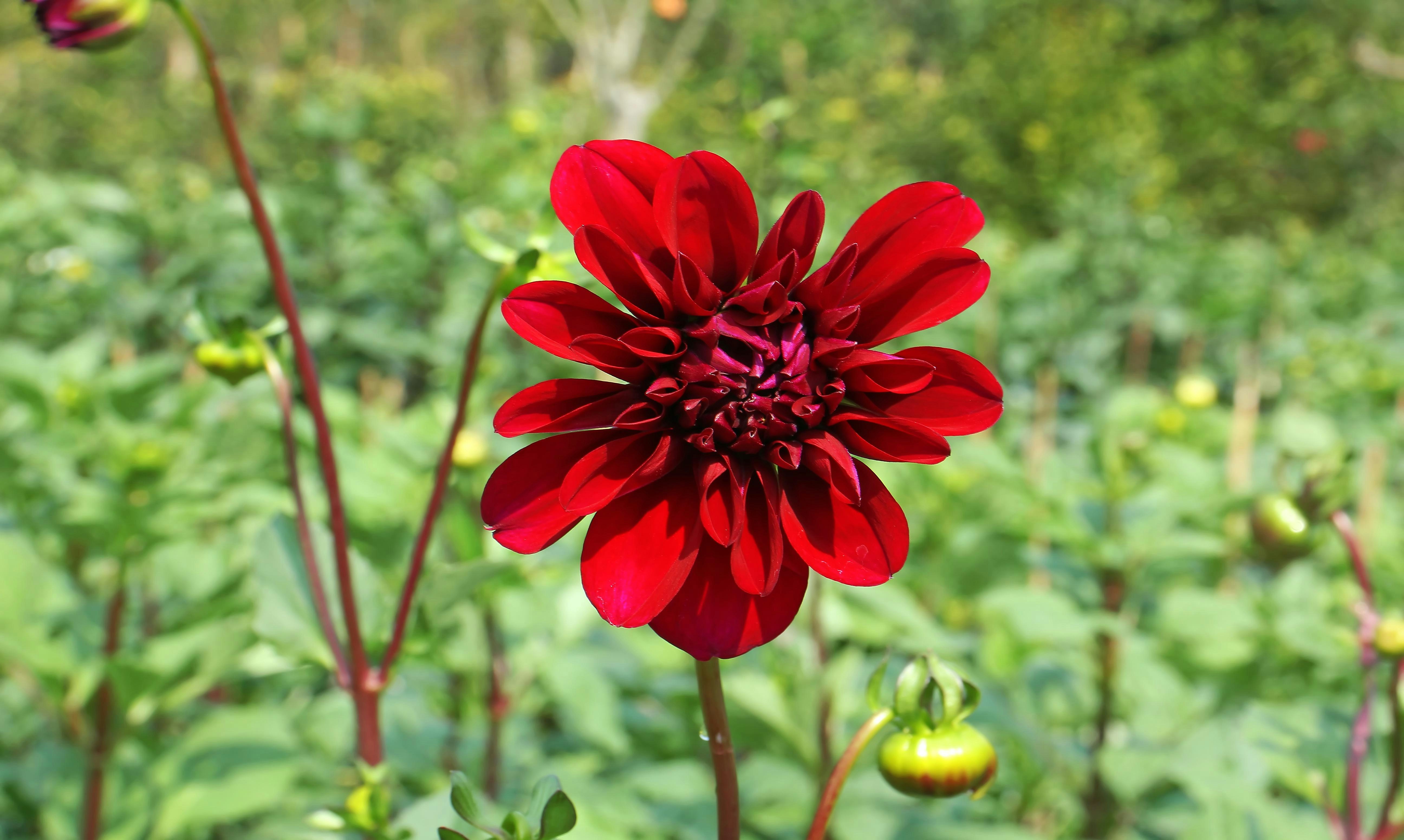 Photo by nazruls_official