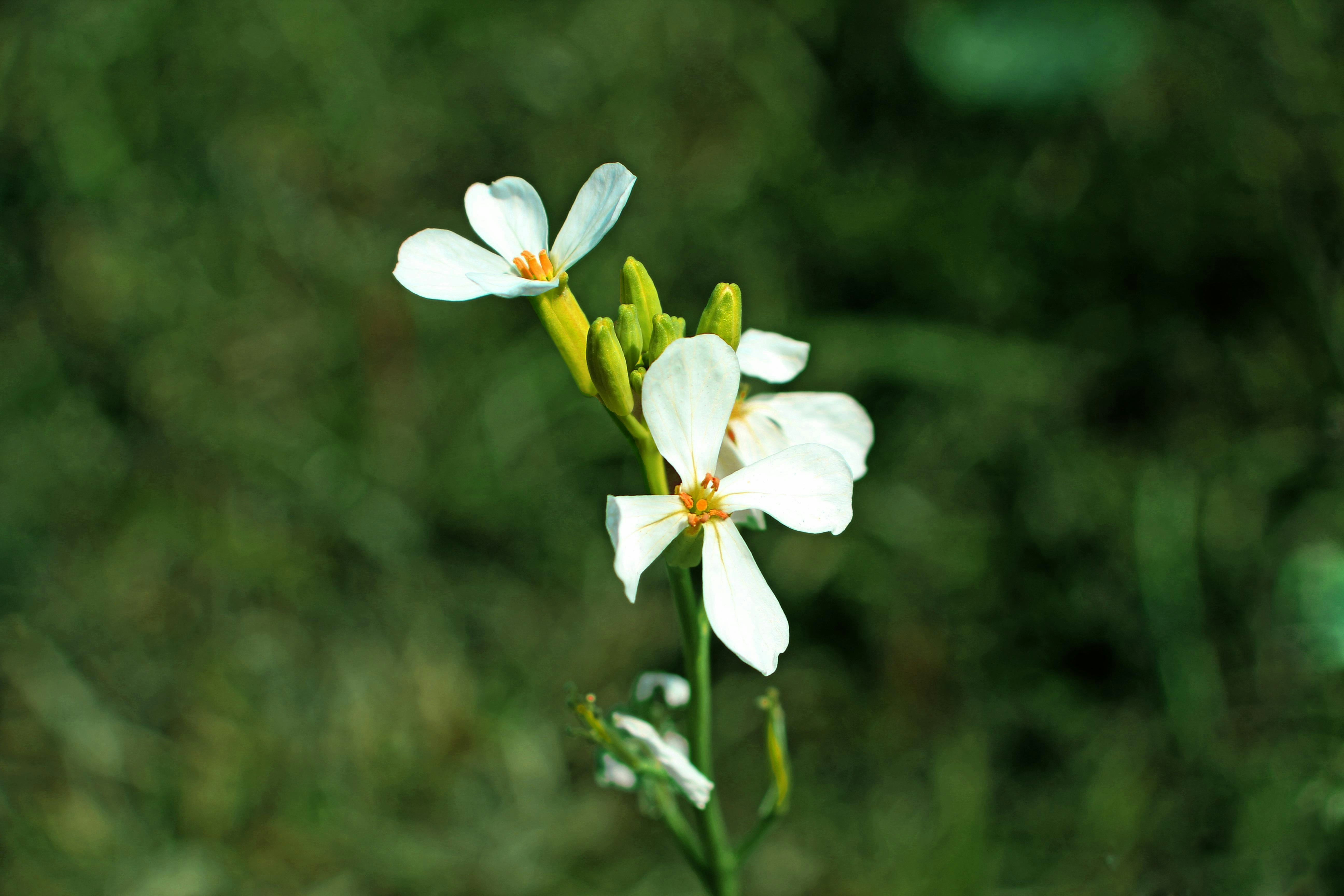 Photo by nazruls_official