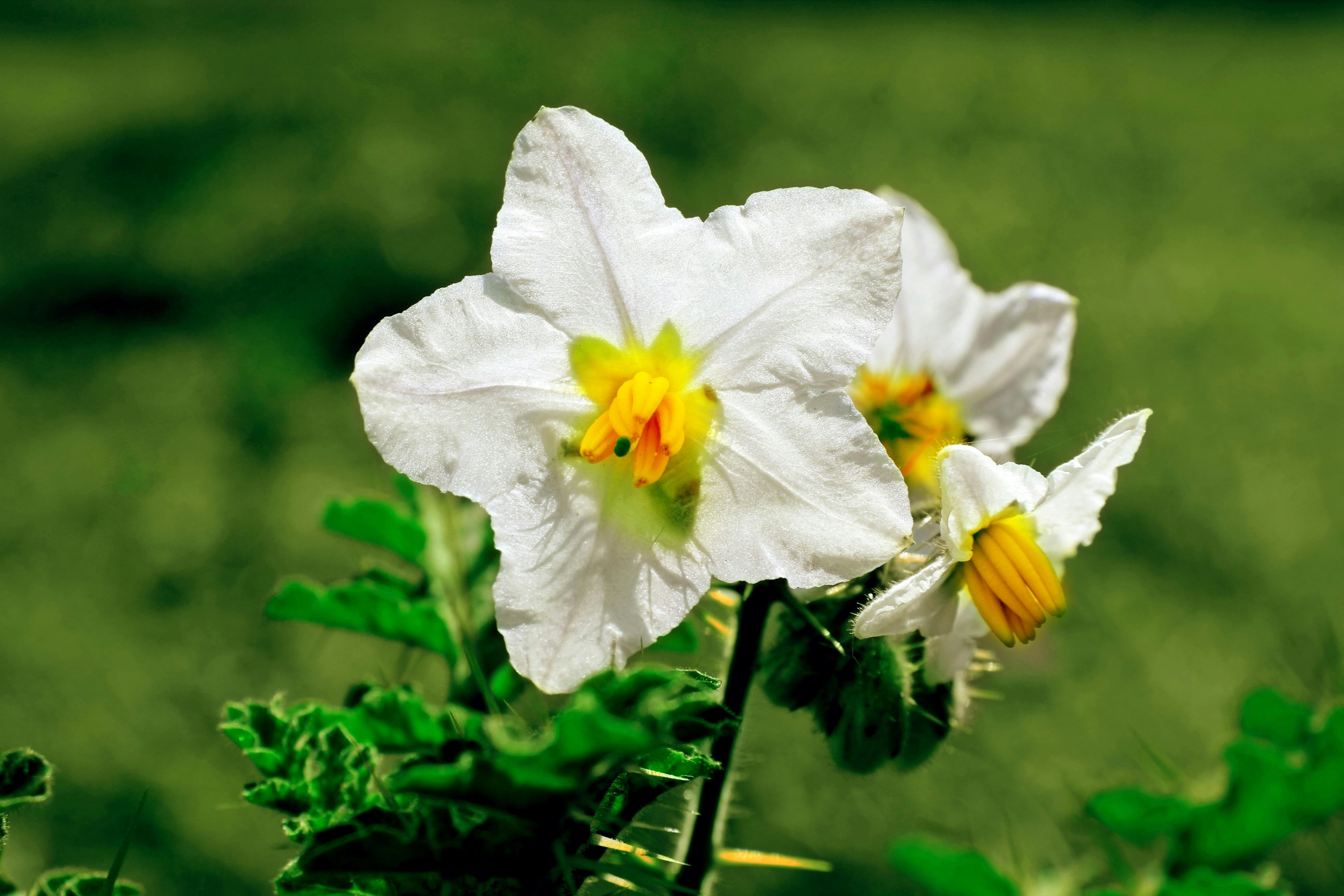 Photo by nazruls_official