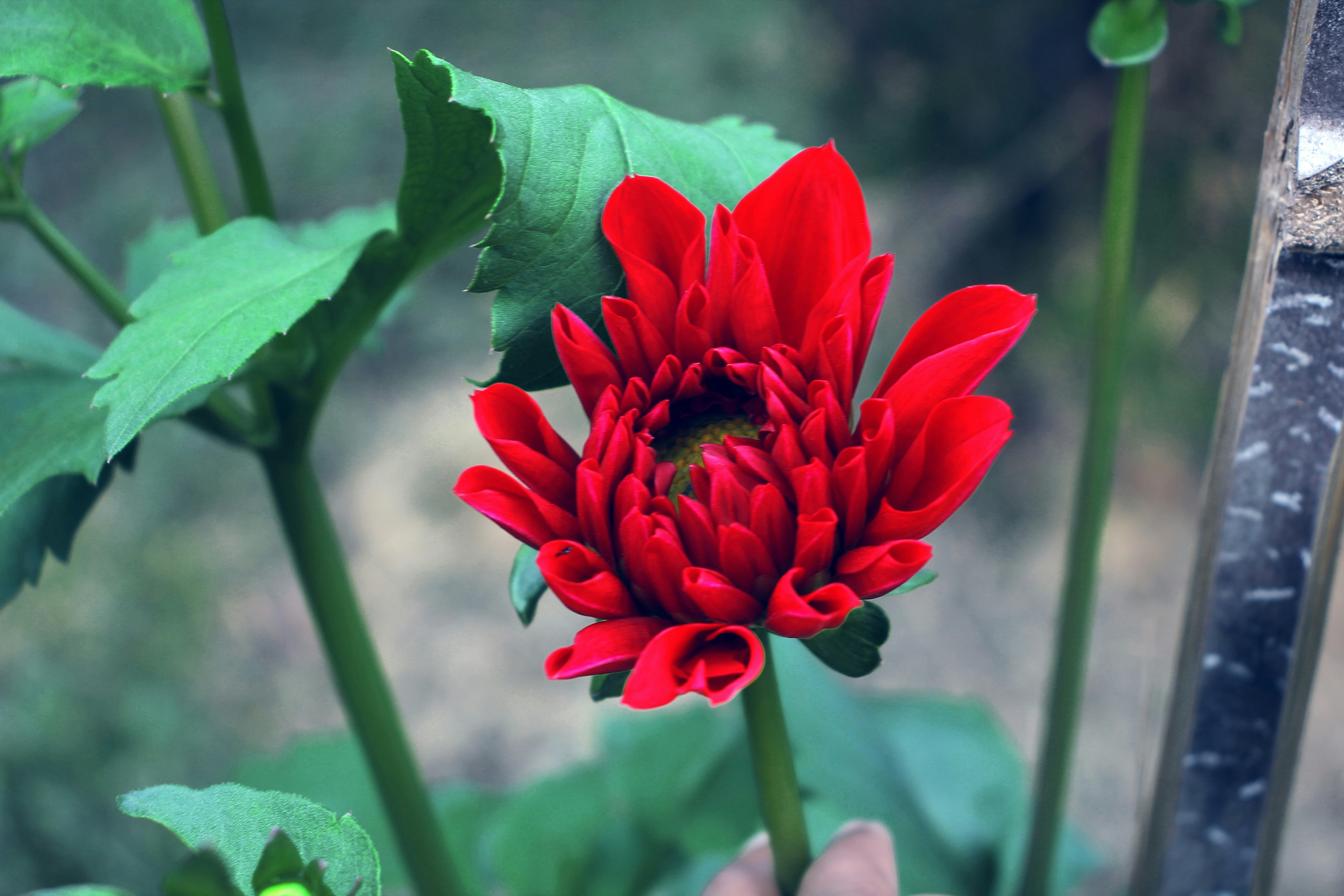 Photo by nazruls_official