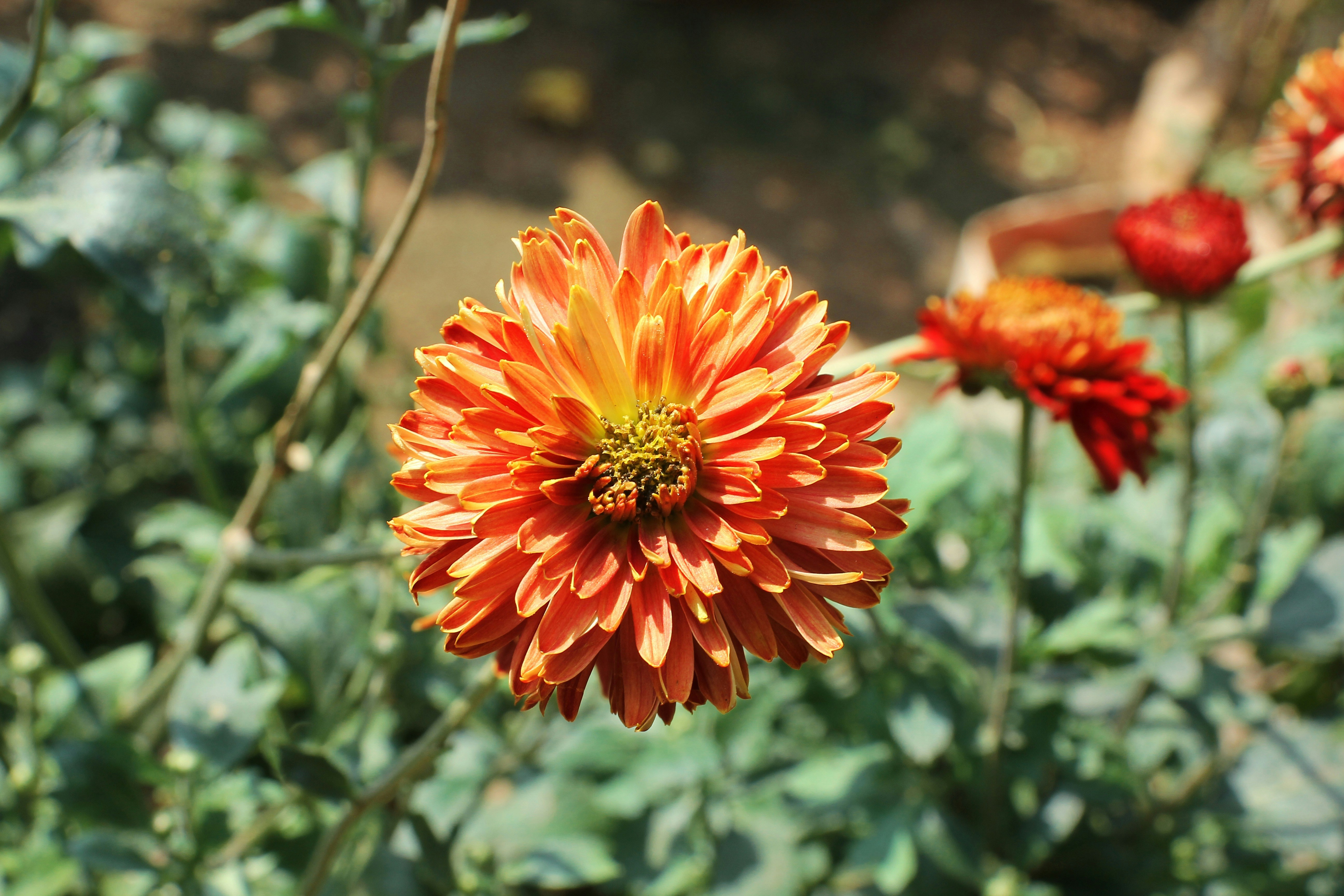 Photo by nazruls_official