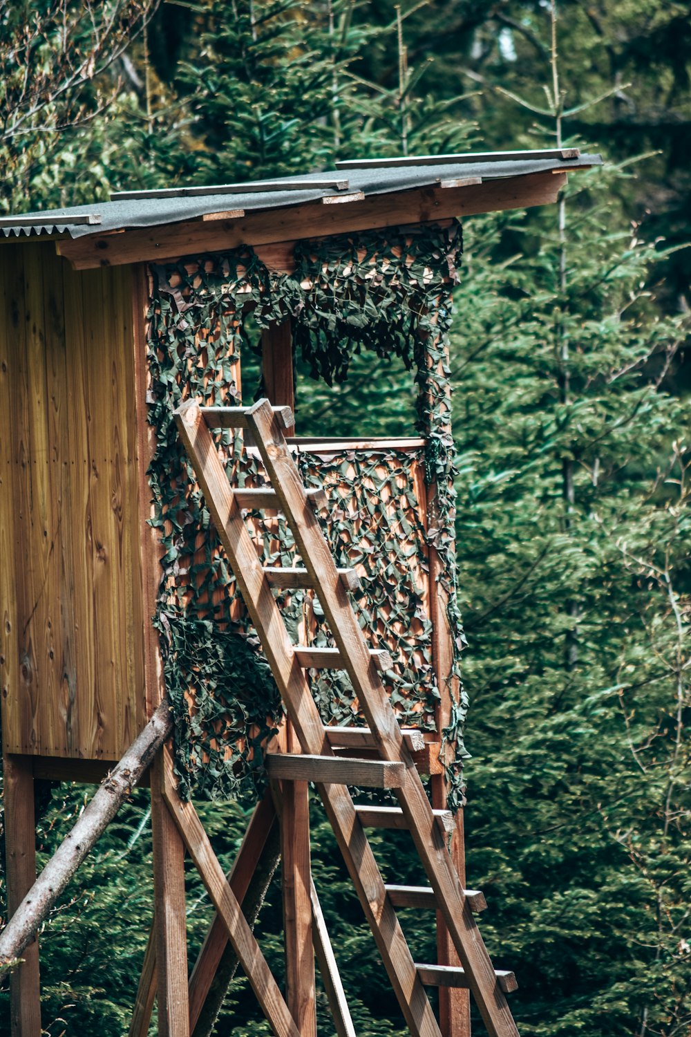 a wooden structure with a ladder in the middle of a forest