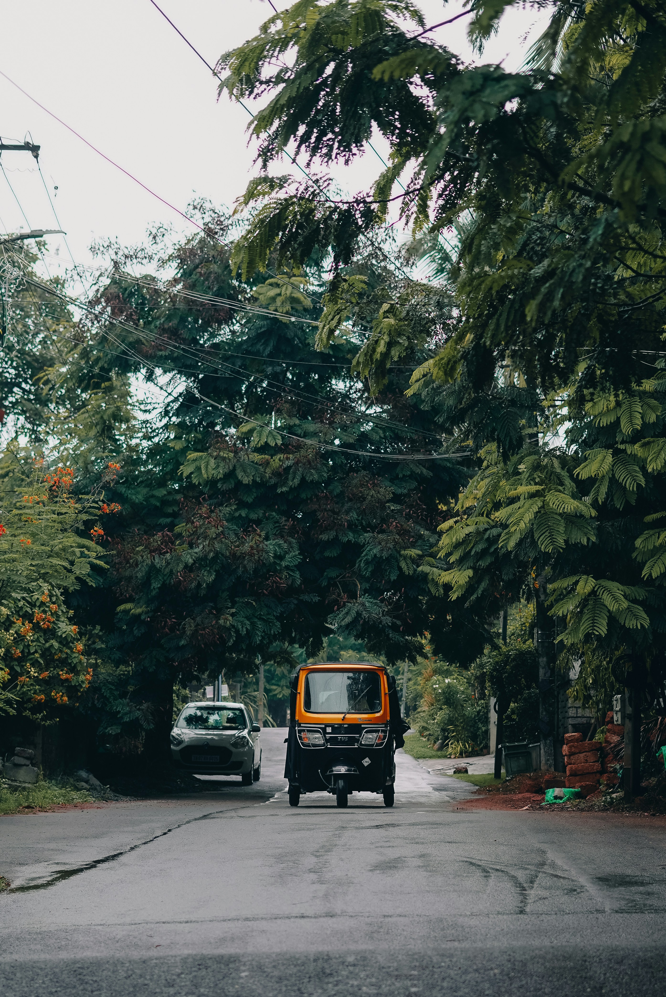 Photo by manasmanikoth