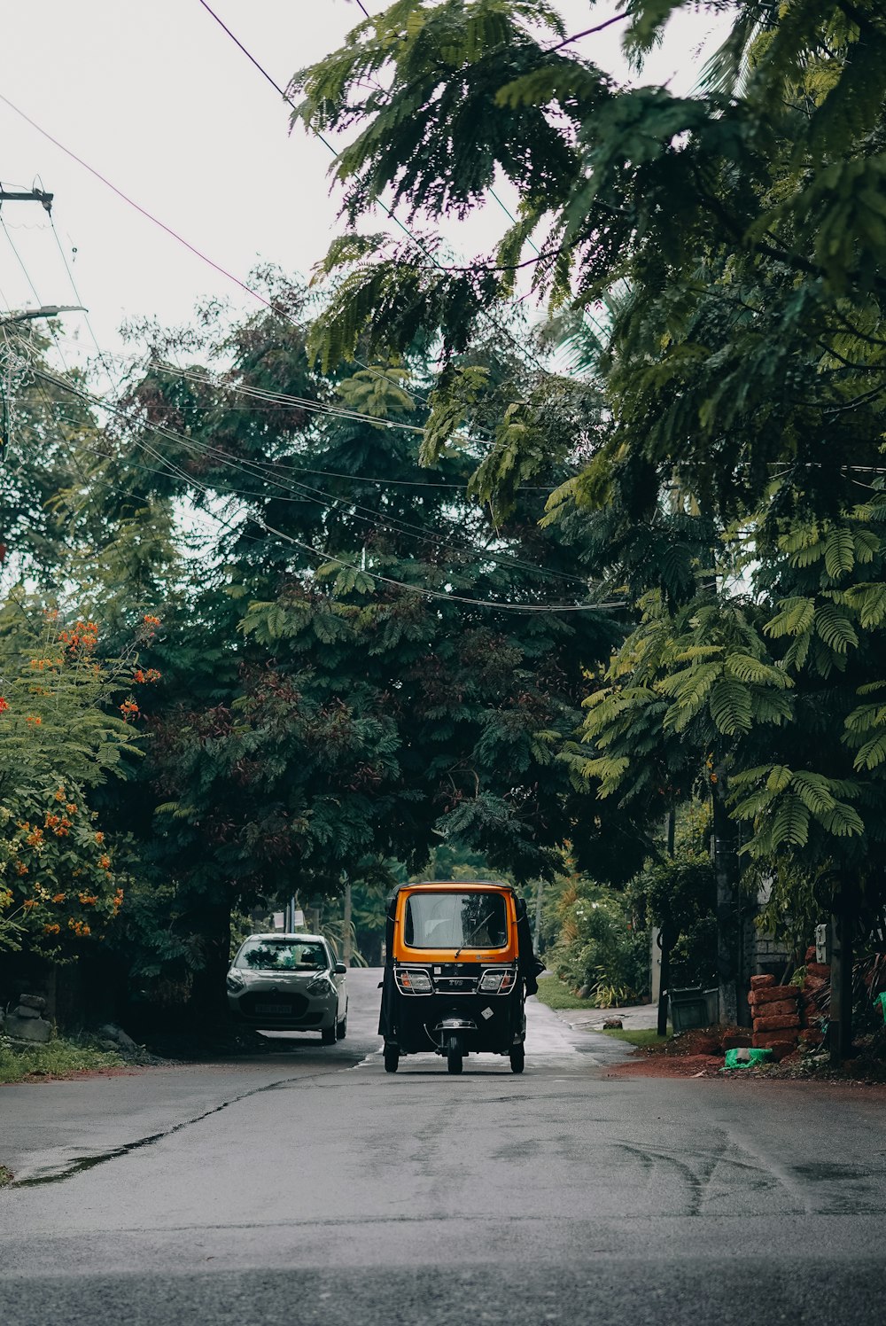 a car driving down a street next to a forest