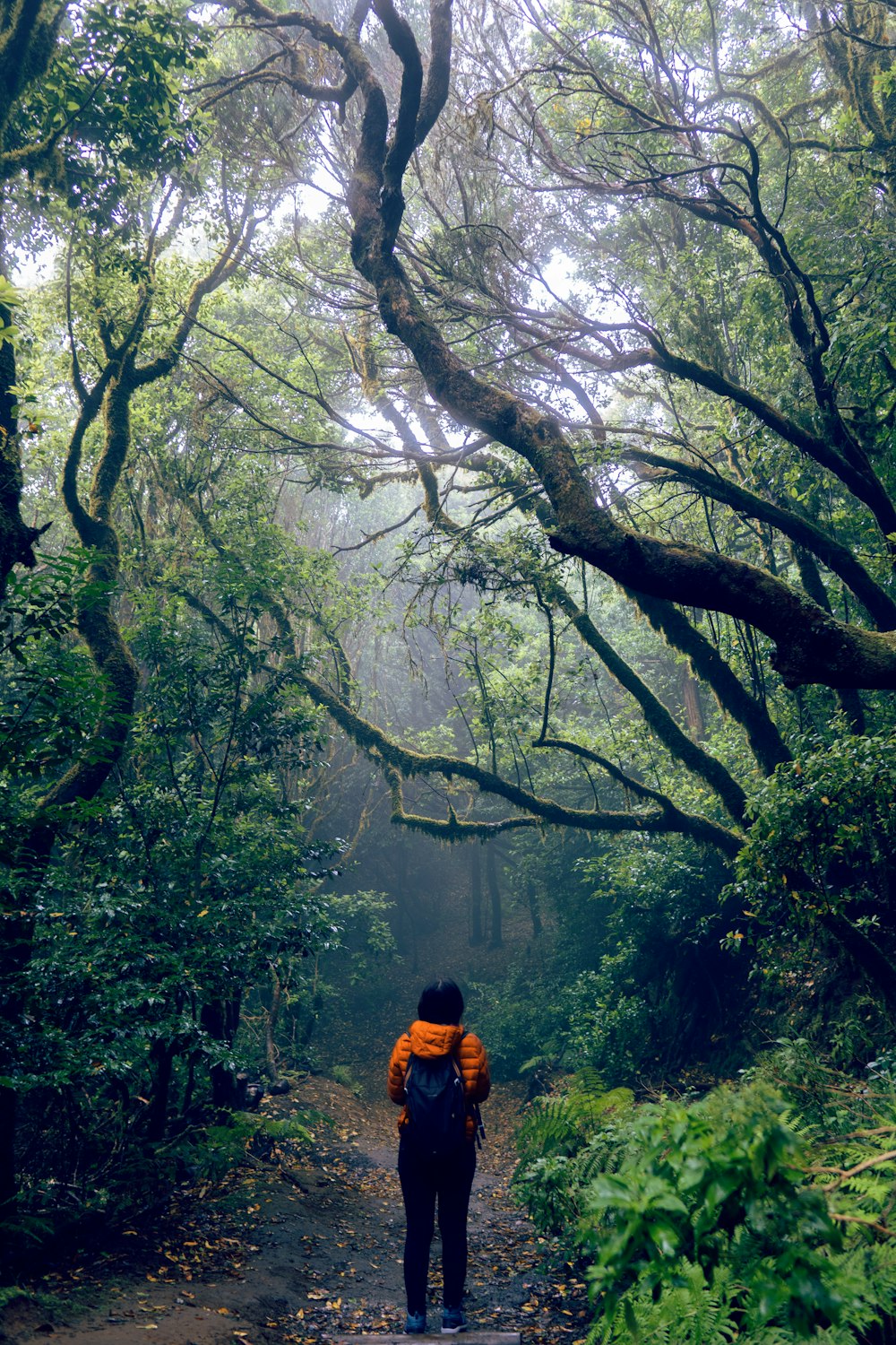 a person with a backpack walking through a forest