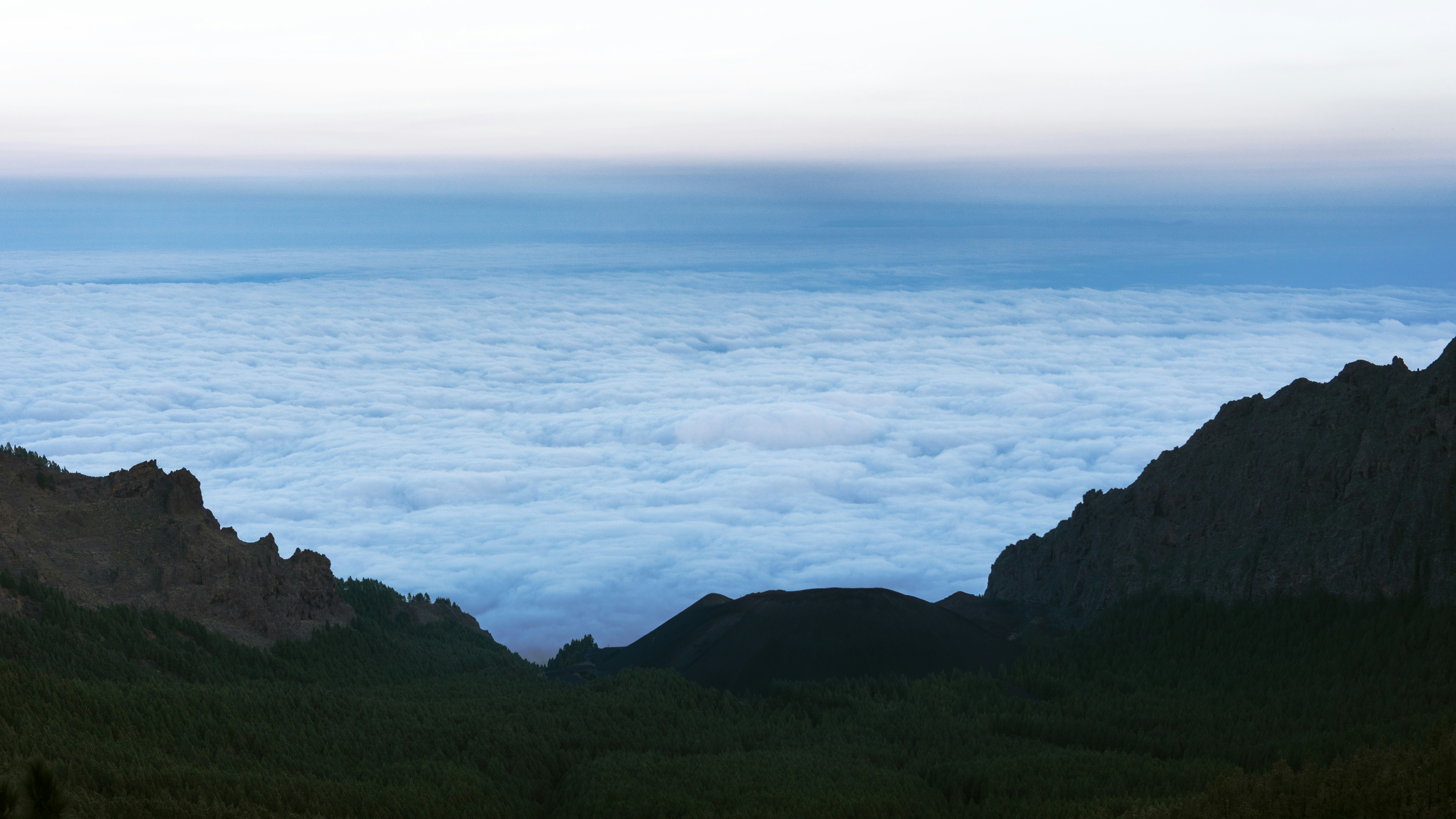 Photo by viktor_snaps