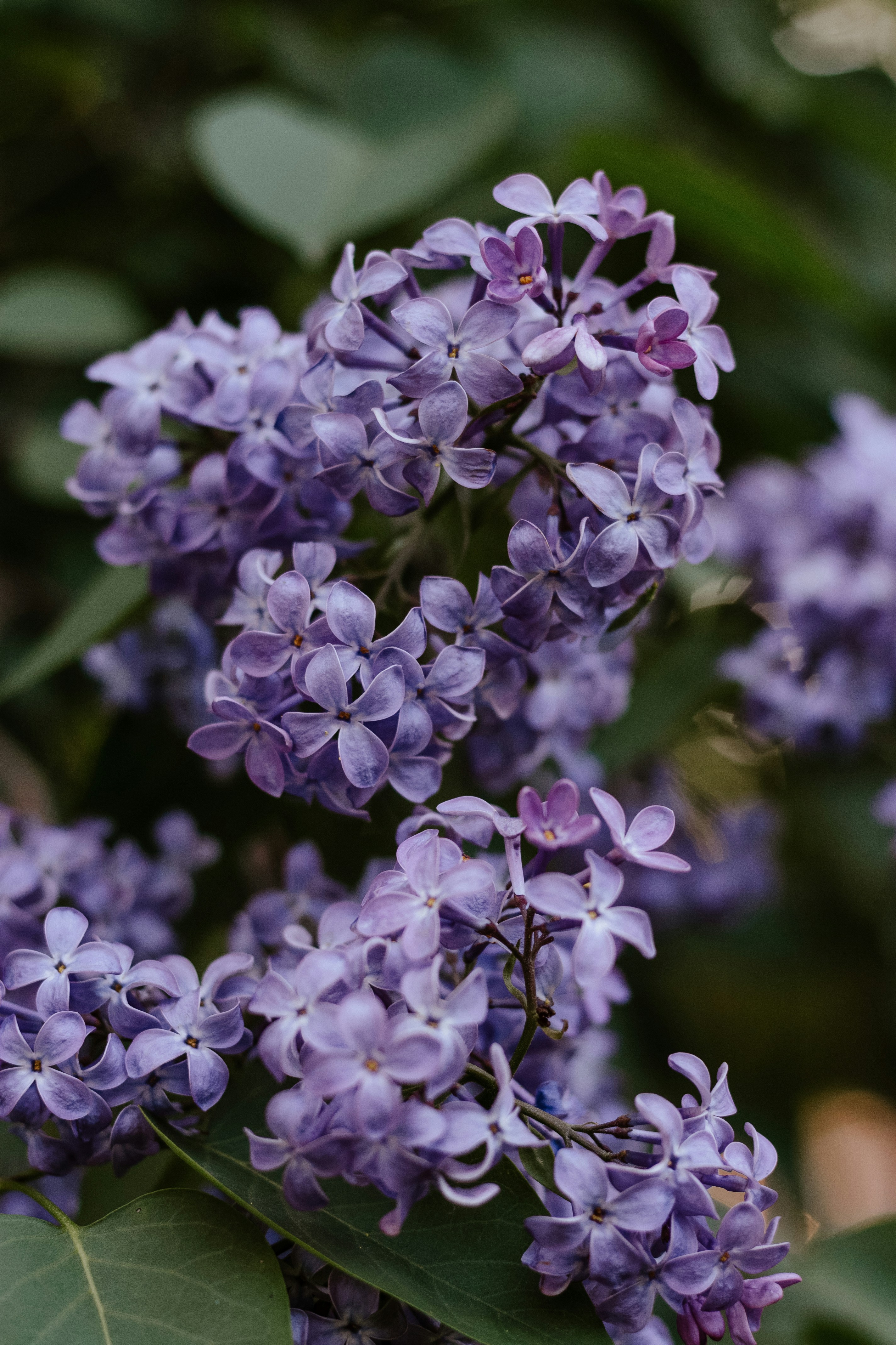 Photo by annaleksandrovishna