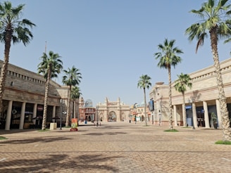 a palm tree lined street in front of a building