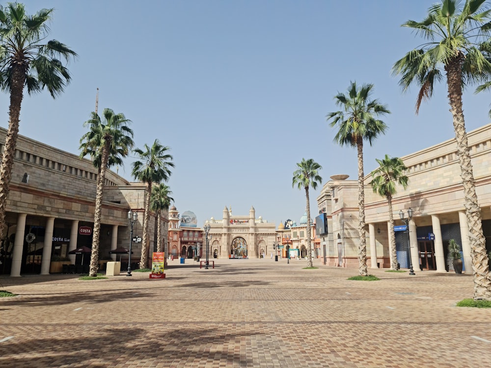 Eine von Palmen gesäumte Straße vor einem Gebäude