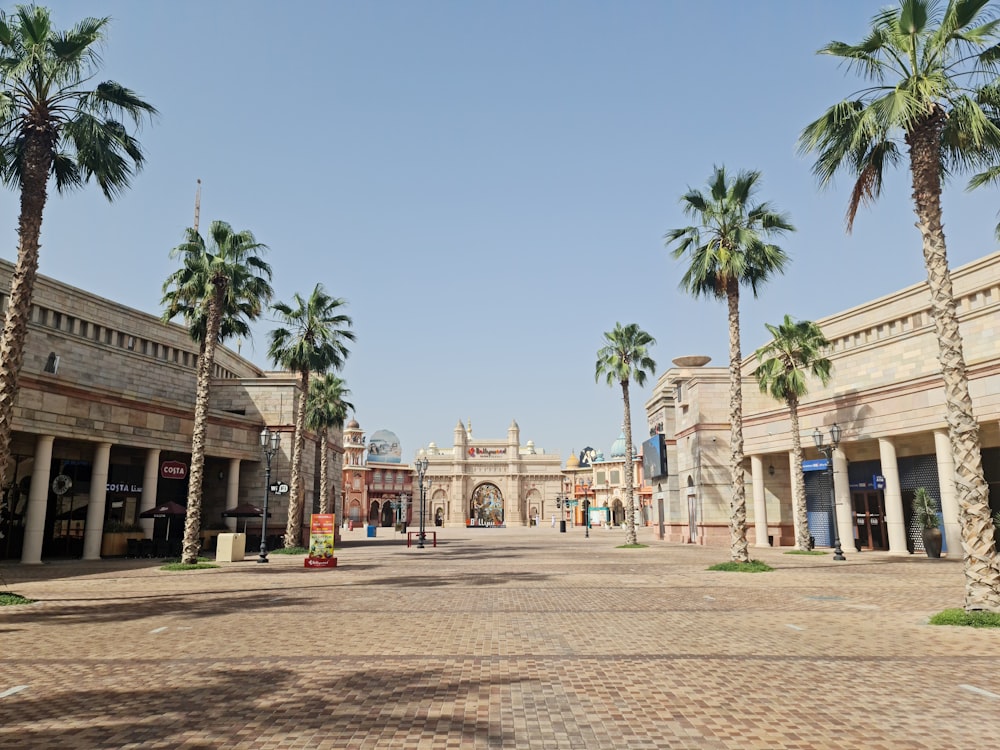 a palm tree lined street in front of a building