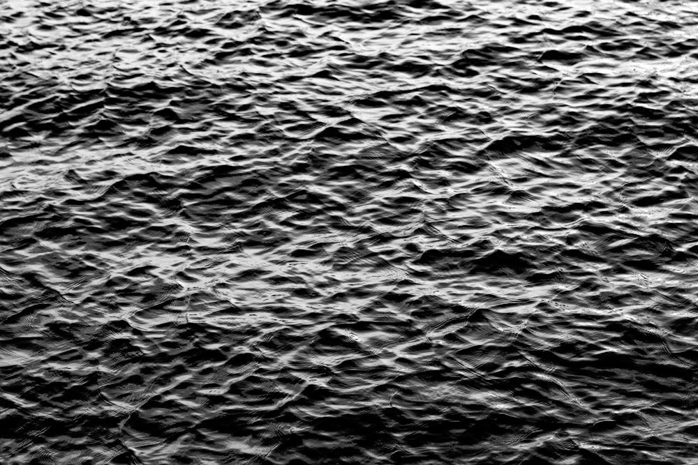 a black and white photo of some water