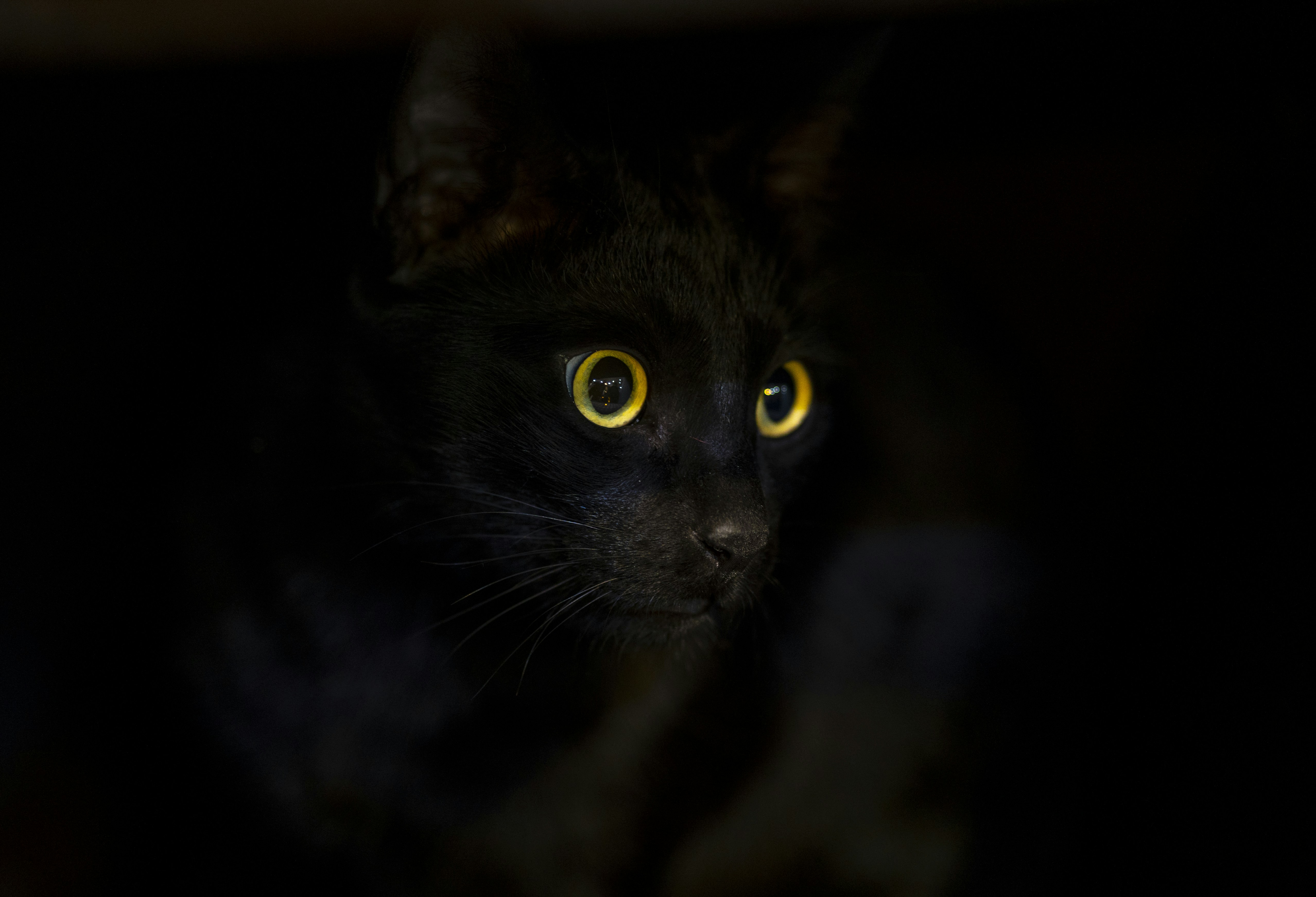 Photo by akbarnemati