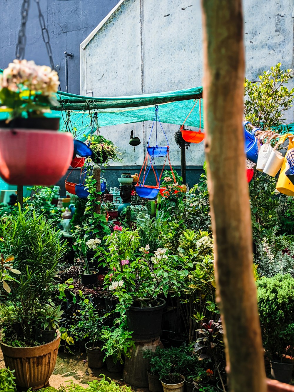 a bunch of potted plants in a garden center