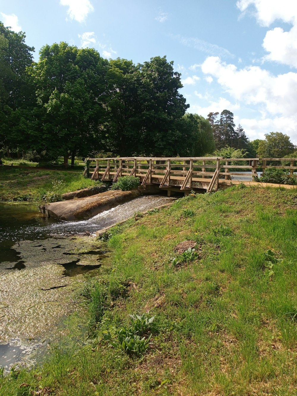 a small wooden bridge over a small stream