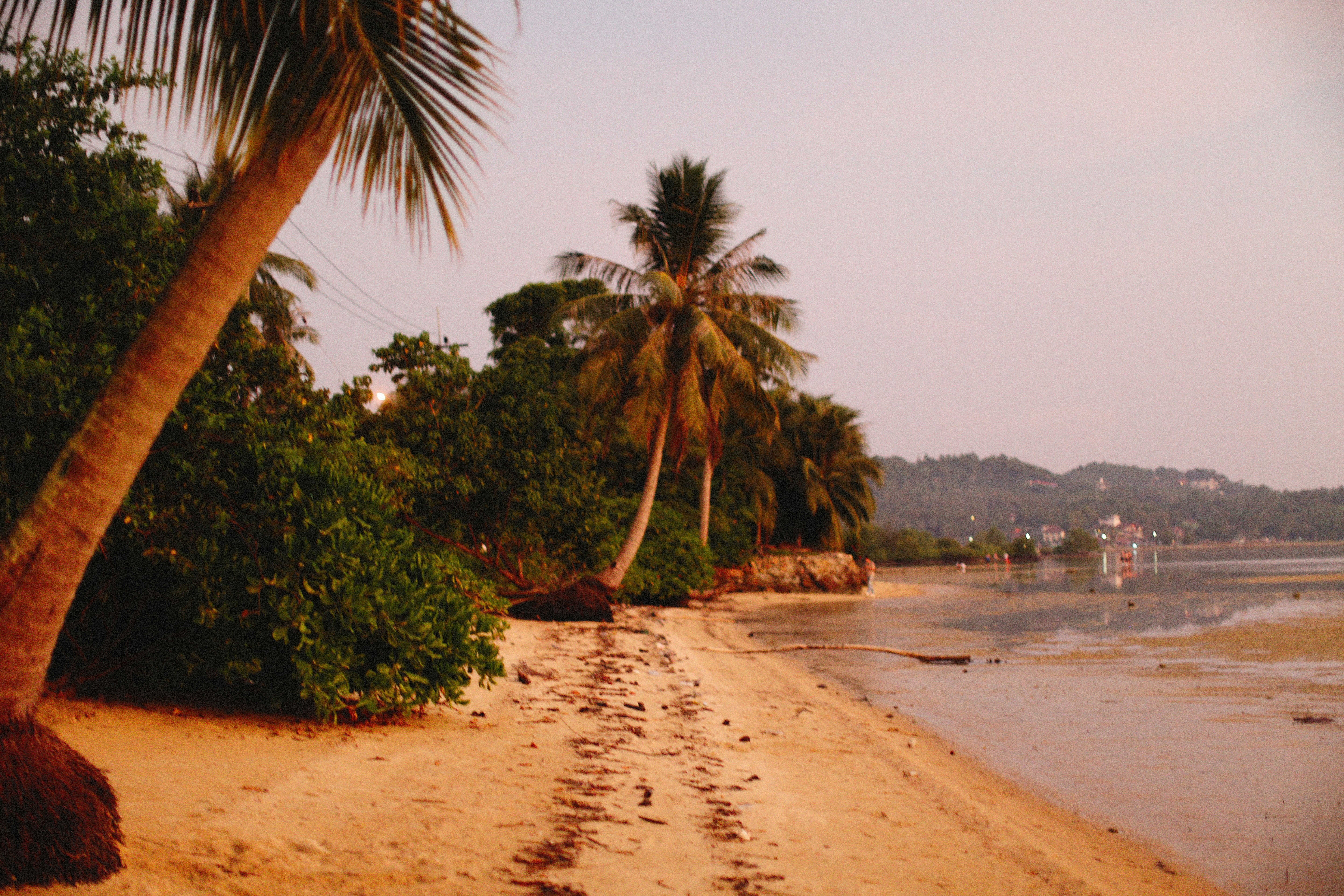 Photo by alexeydemidov