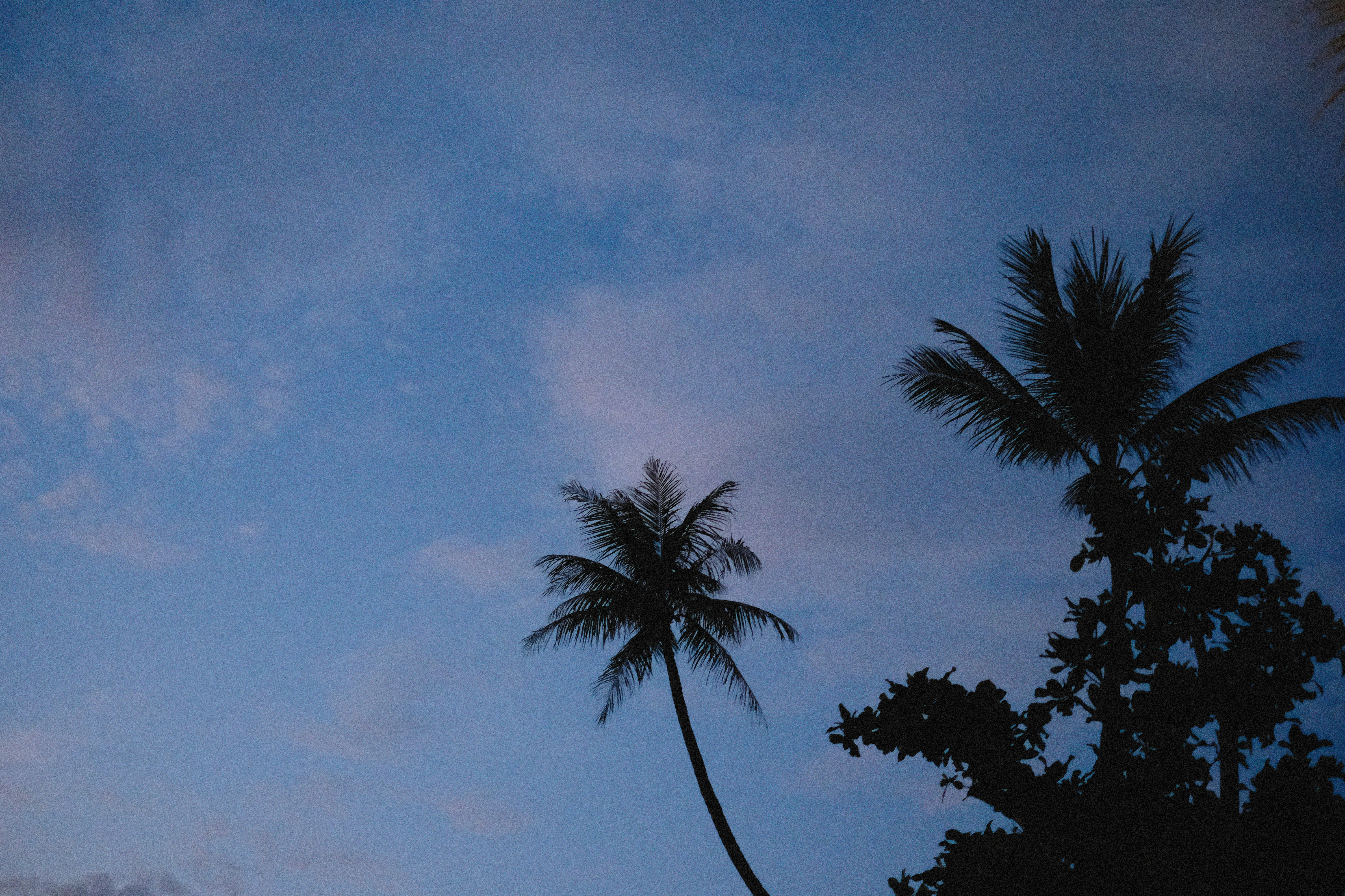 Photo by alexeydemidov