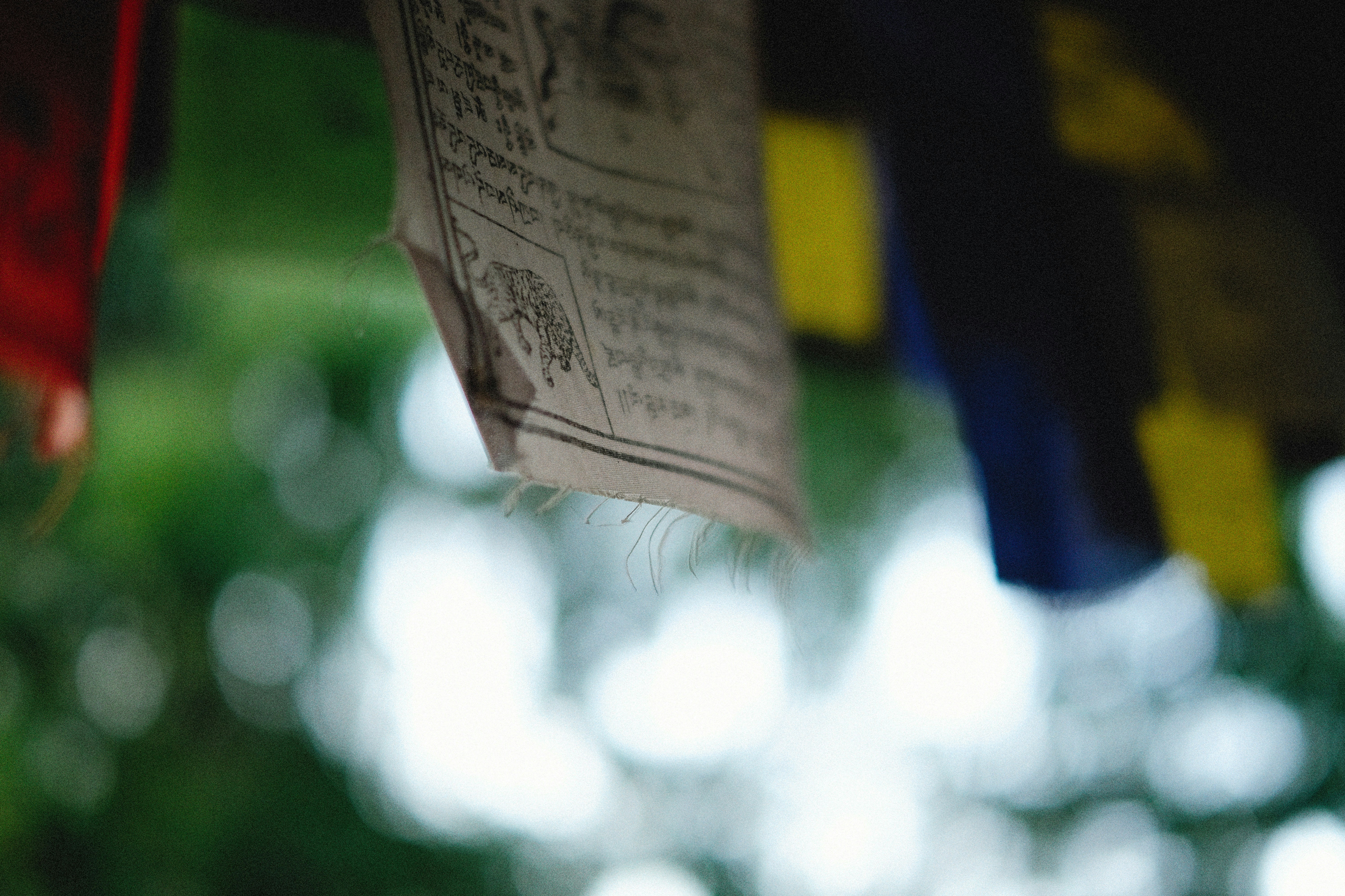 Photo by alexeydemidov