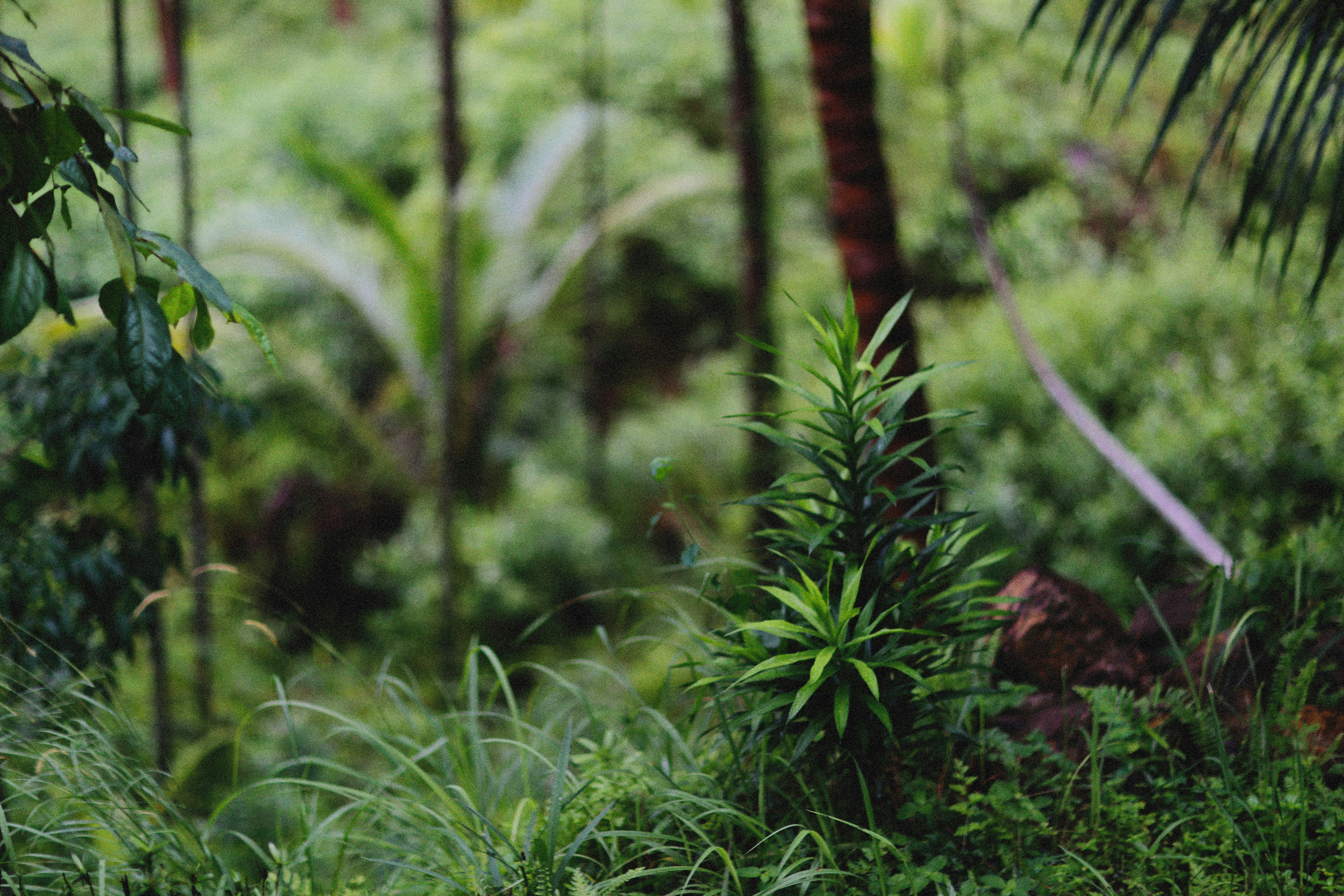 Photo by alexeydemidov