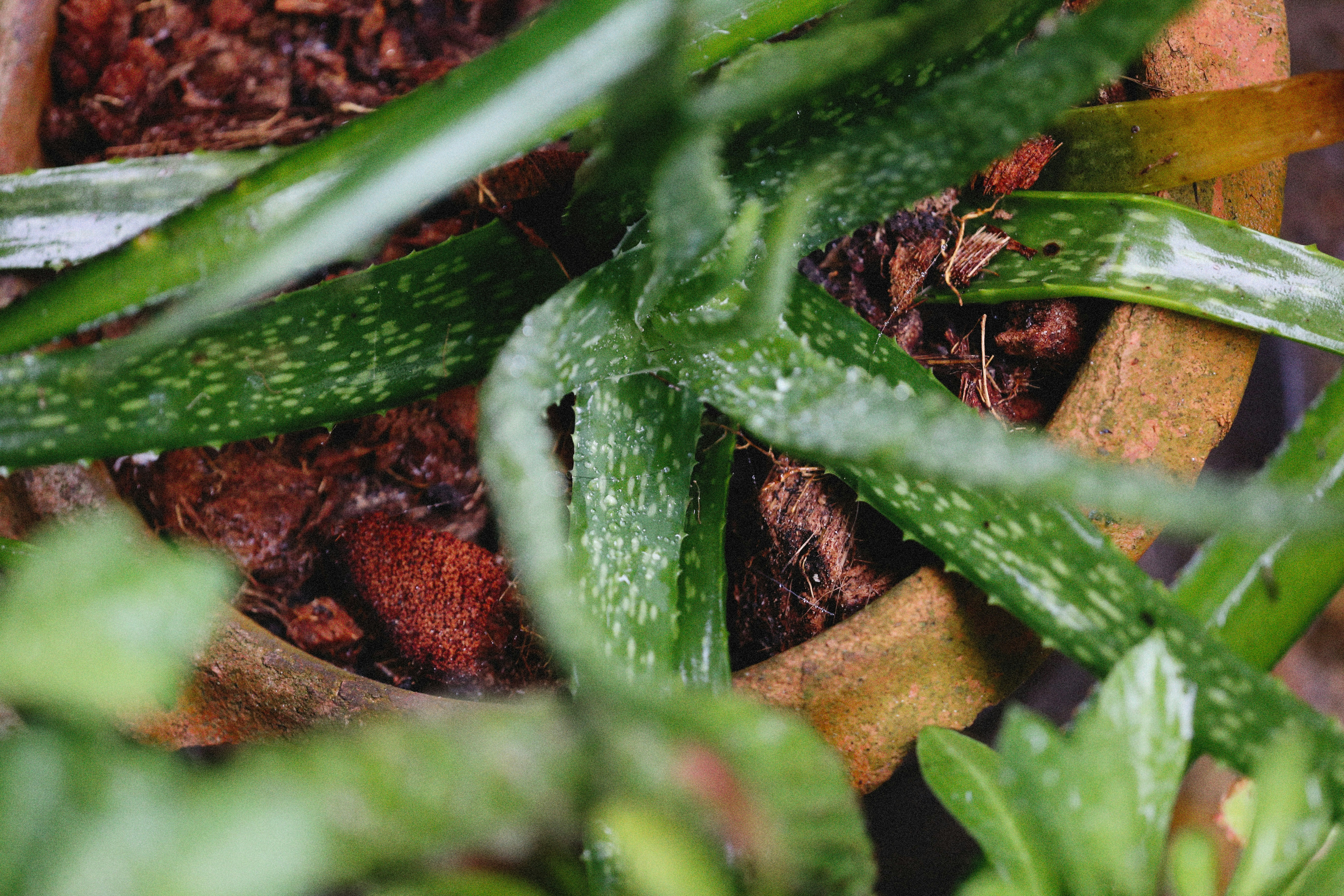 Photo by alexeydemidov