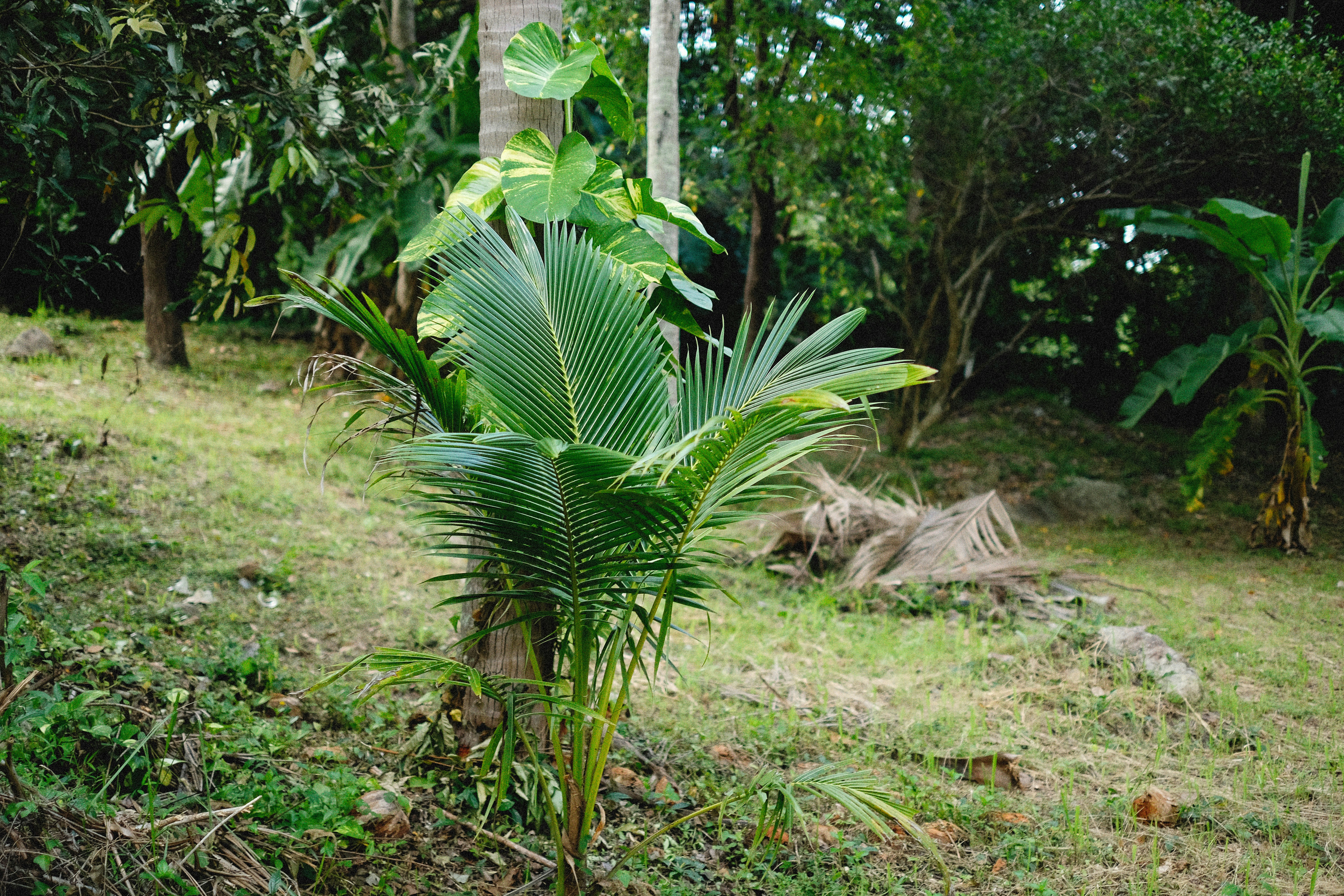 Photo by alexeydemidov