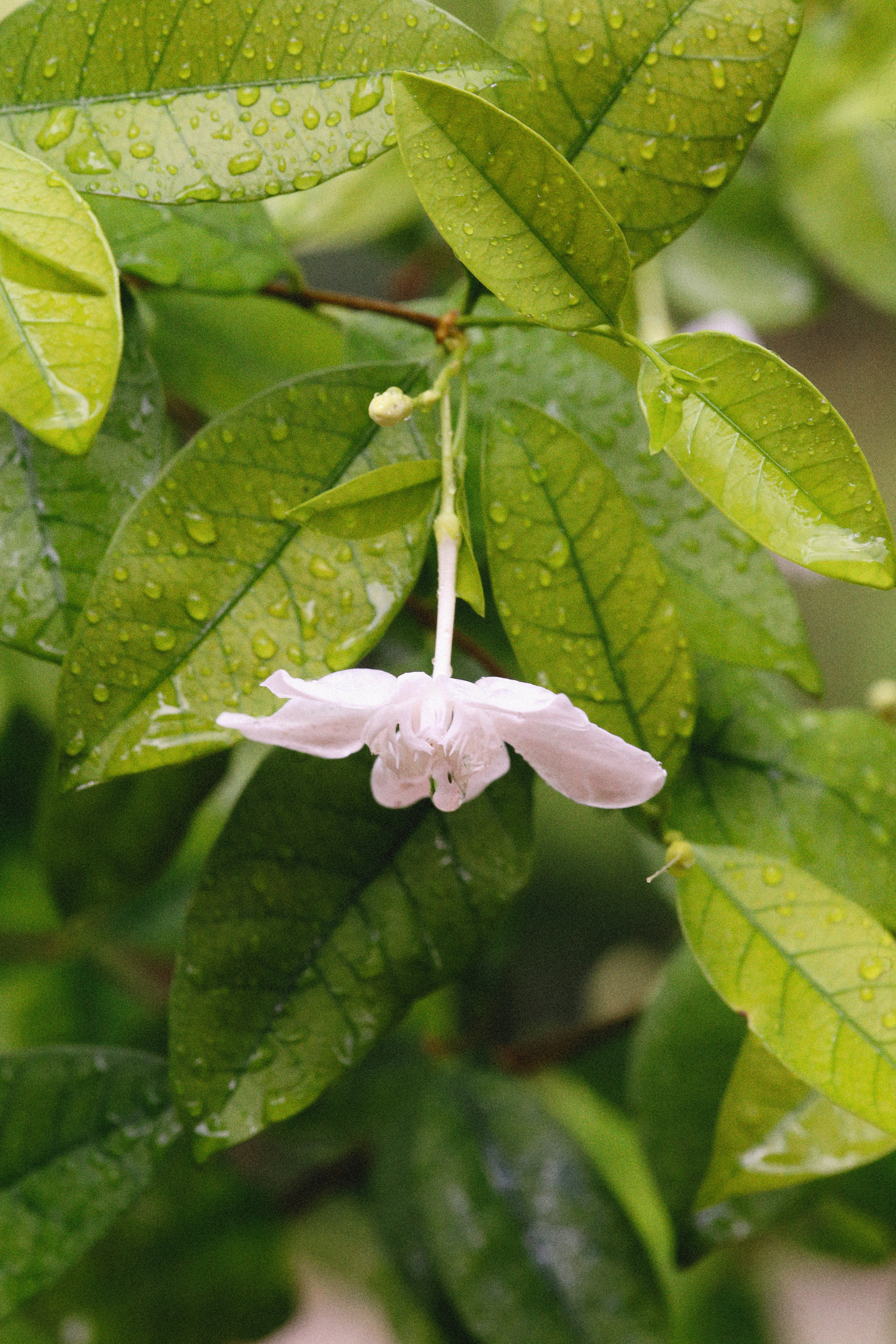 Photo by alexeydemidov