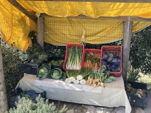 A rustic market stall features a variety of fresh vegetables arranged on a table covered with a cloth. The stall is sheltered by a yellow tarp and supported by wooden posts. Vegetables include cabbages, leeks, carrots, purple cabbage, and parsnips. The produce is organized in baskets and crates, creating a vibrant and inviting display.