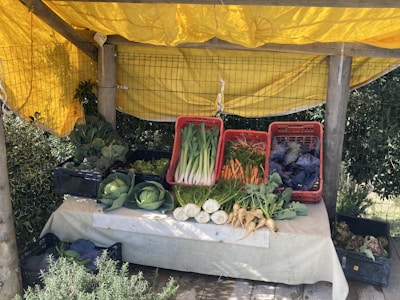 A rustic market stall features a variety of fresh vegetables arranged on a table covered with a cloth. The stall is sheltered by a yellow tarp and supported by wooden posts. Vegetables include cabbages, leeks, carrots, purple cabbage, and parsnips. The produce is organized in baskets and crates, creating a vibrant and inviting display.