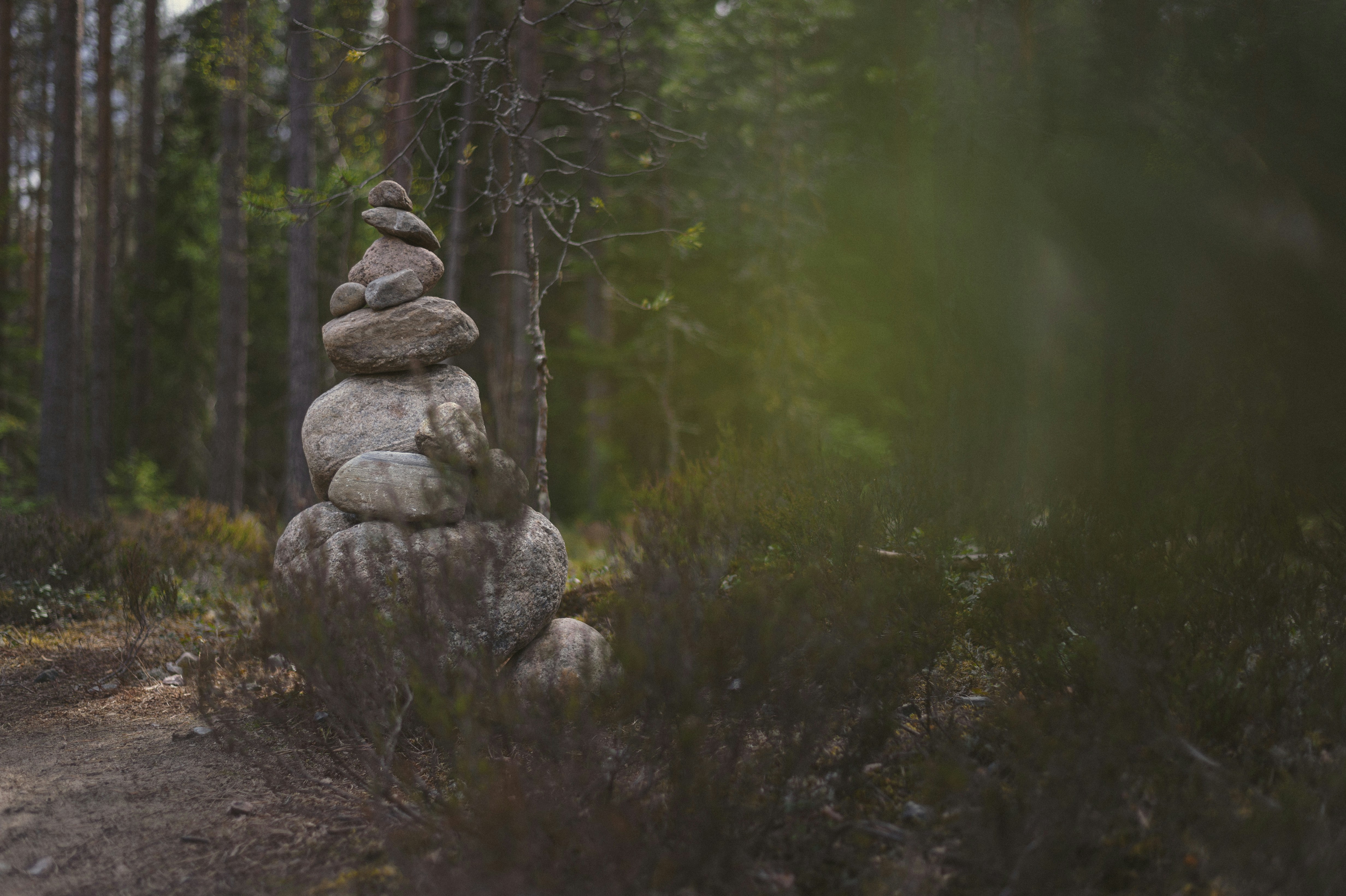 A pyramid of stones in a dense forest. 