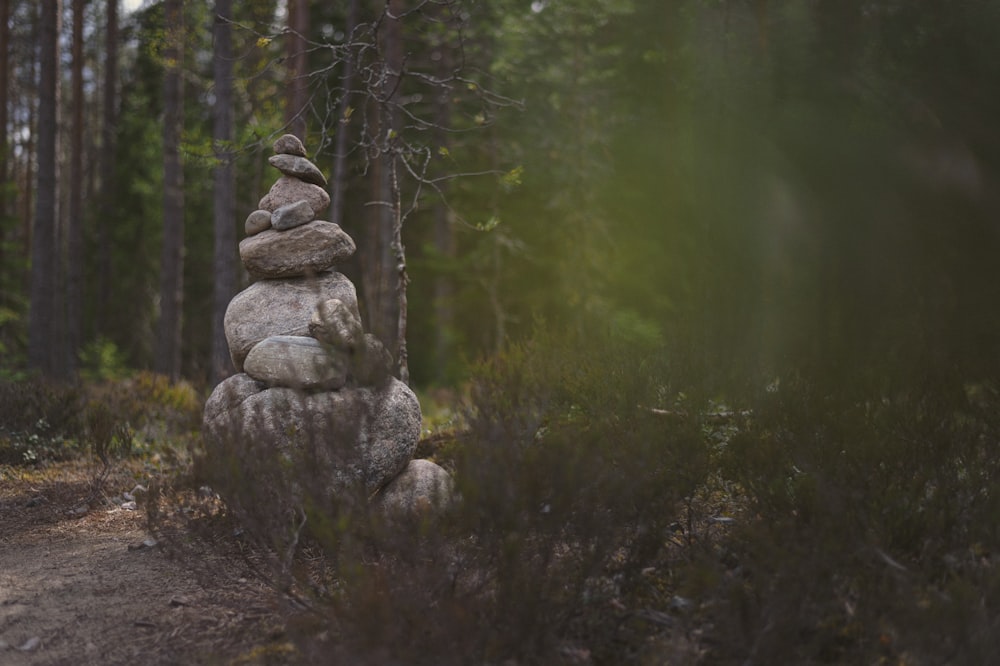 a pile of rocks sitting in the middle of a forest