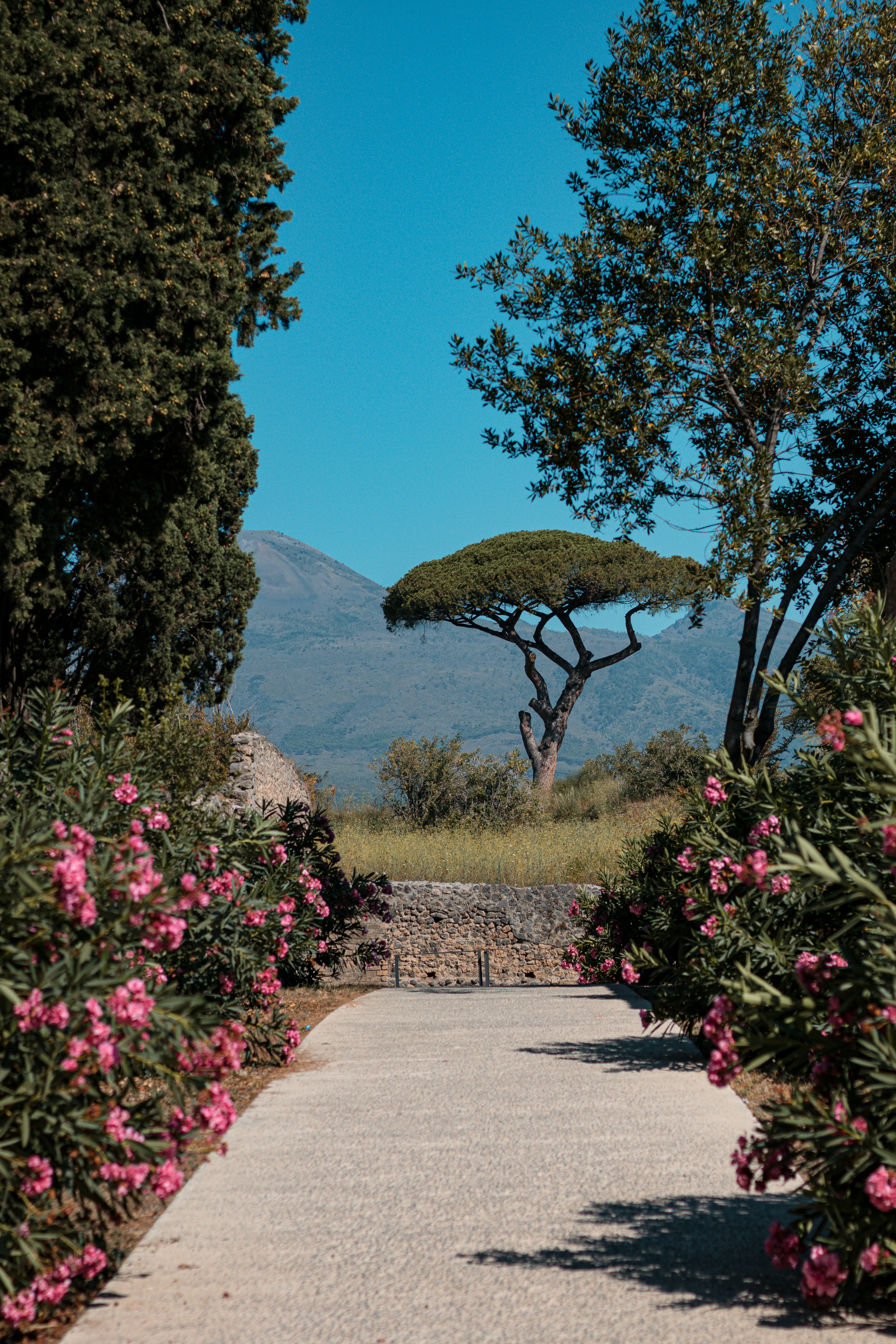 Photo by valentinlacoste