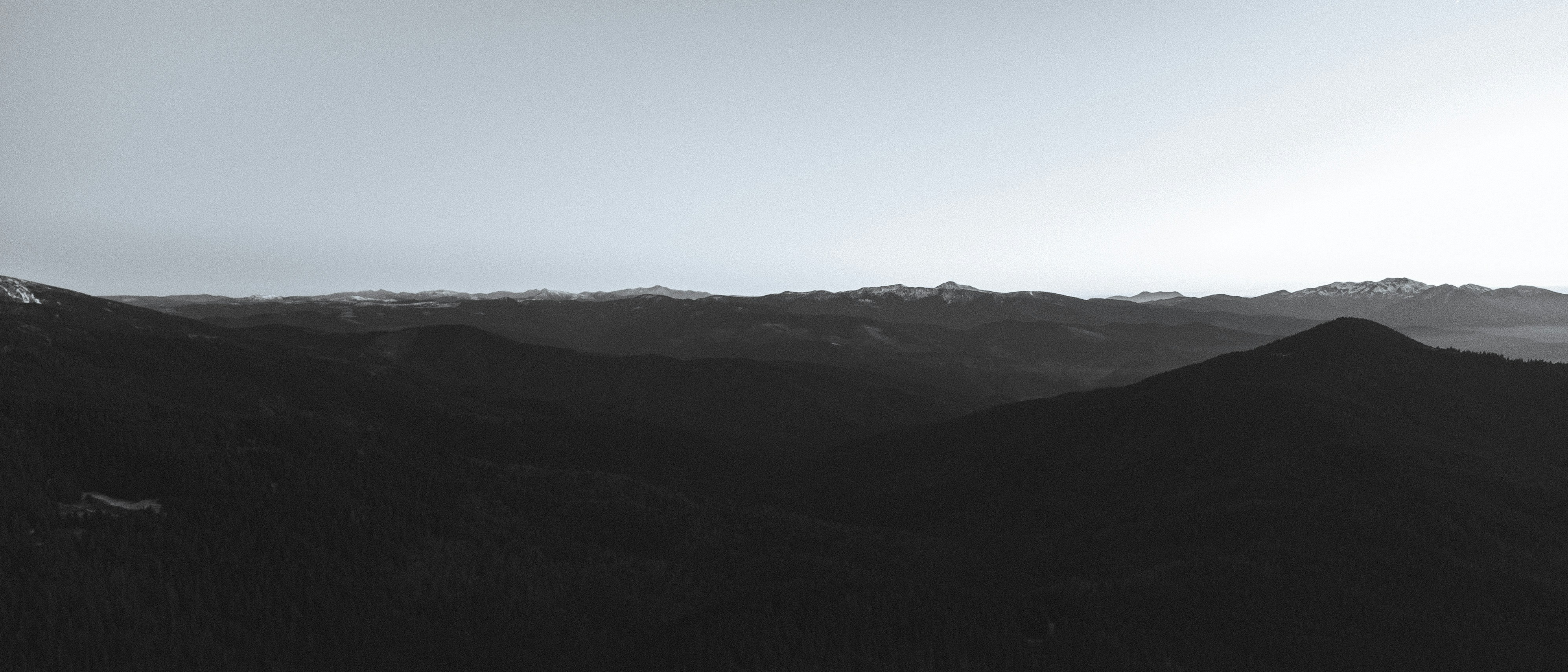 Photo by deni_eliash