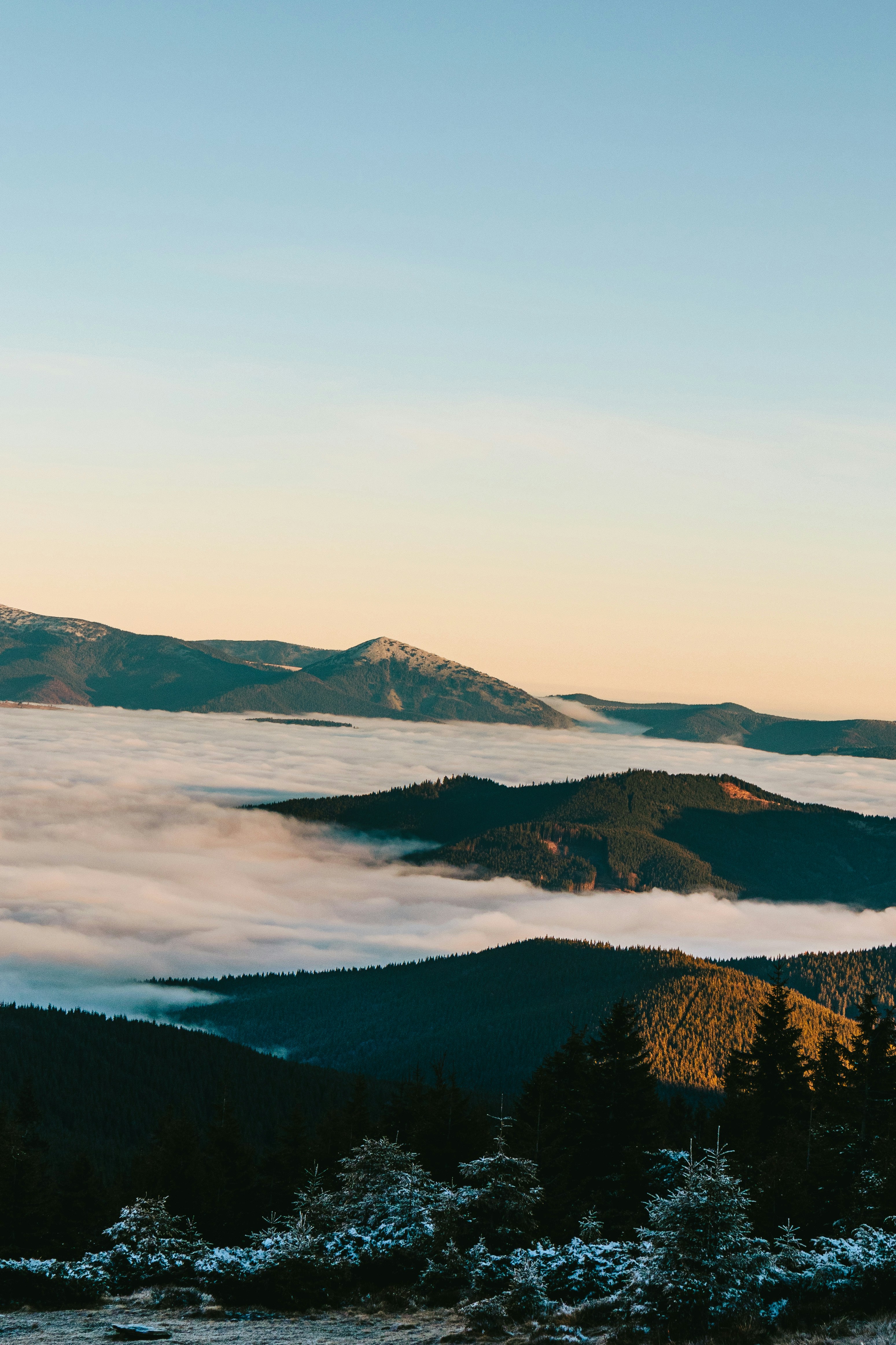 Photo by deni_eliash