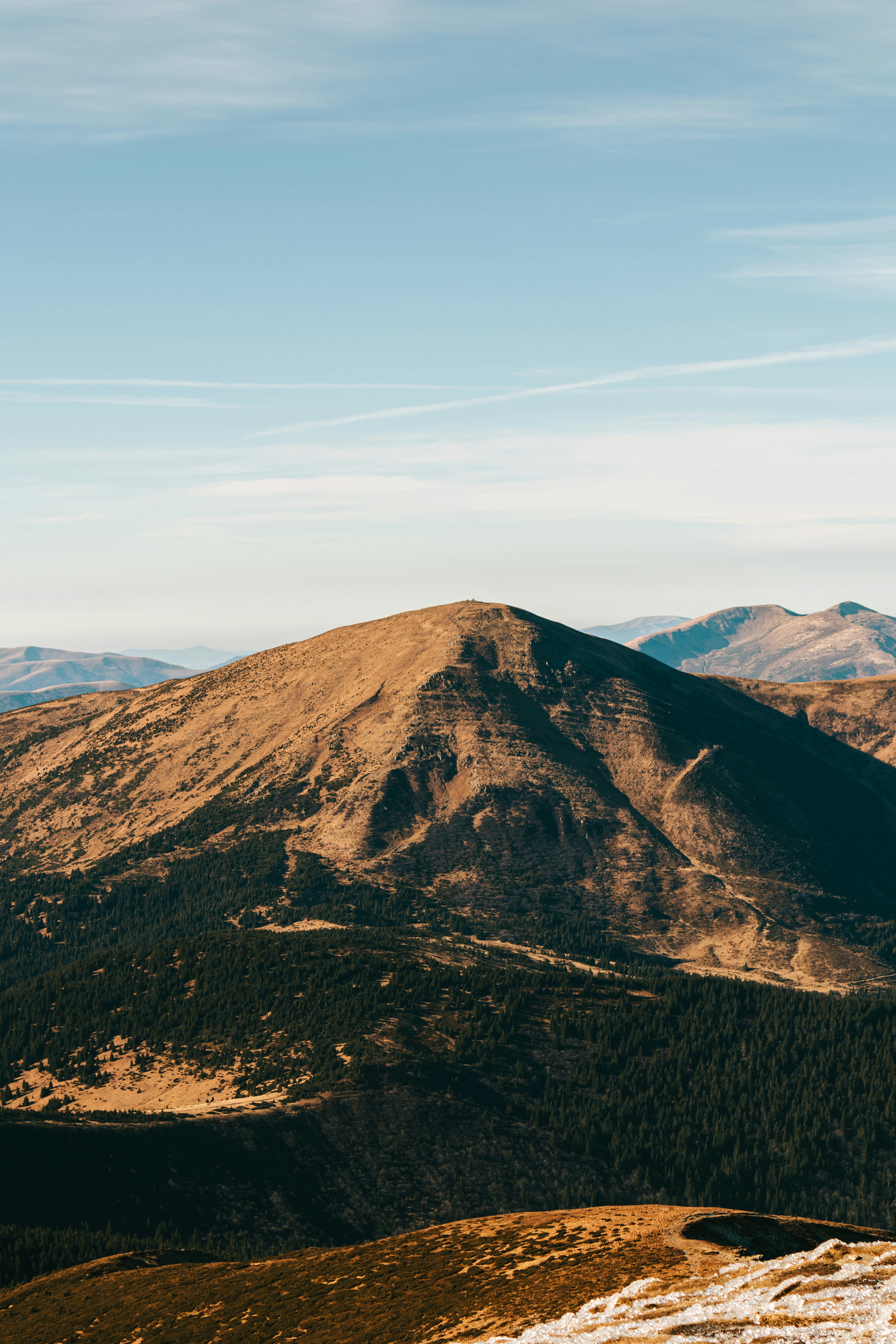 Photo by deni_eliash