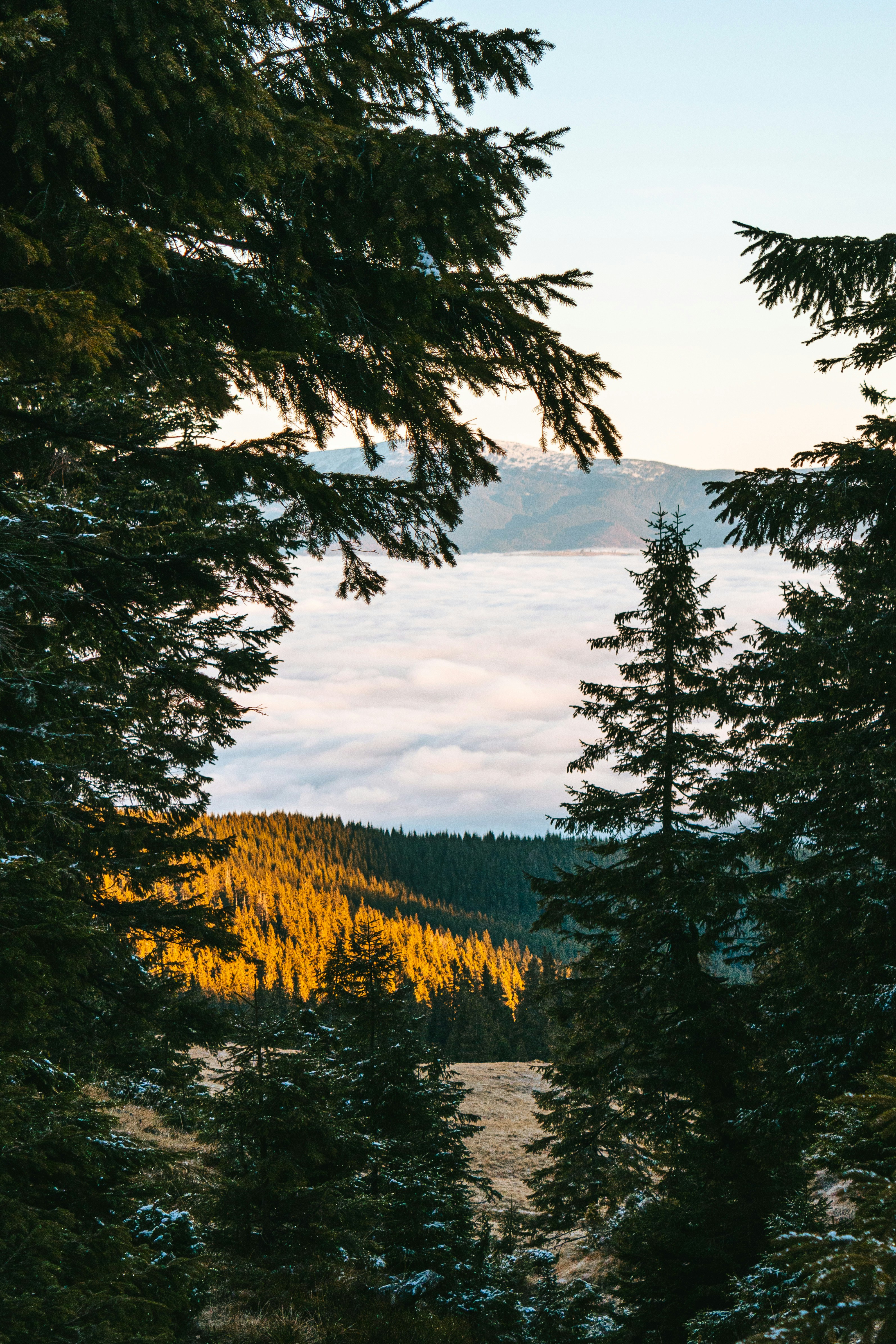 Photo by deni_eliash