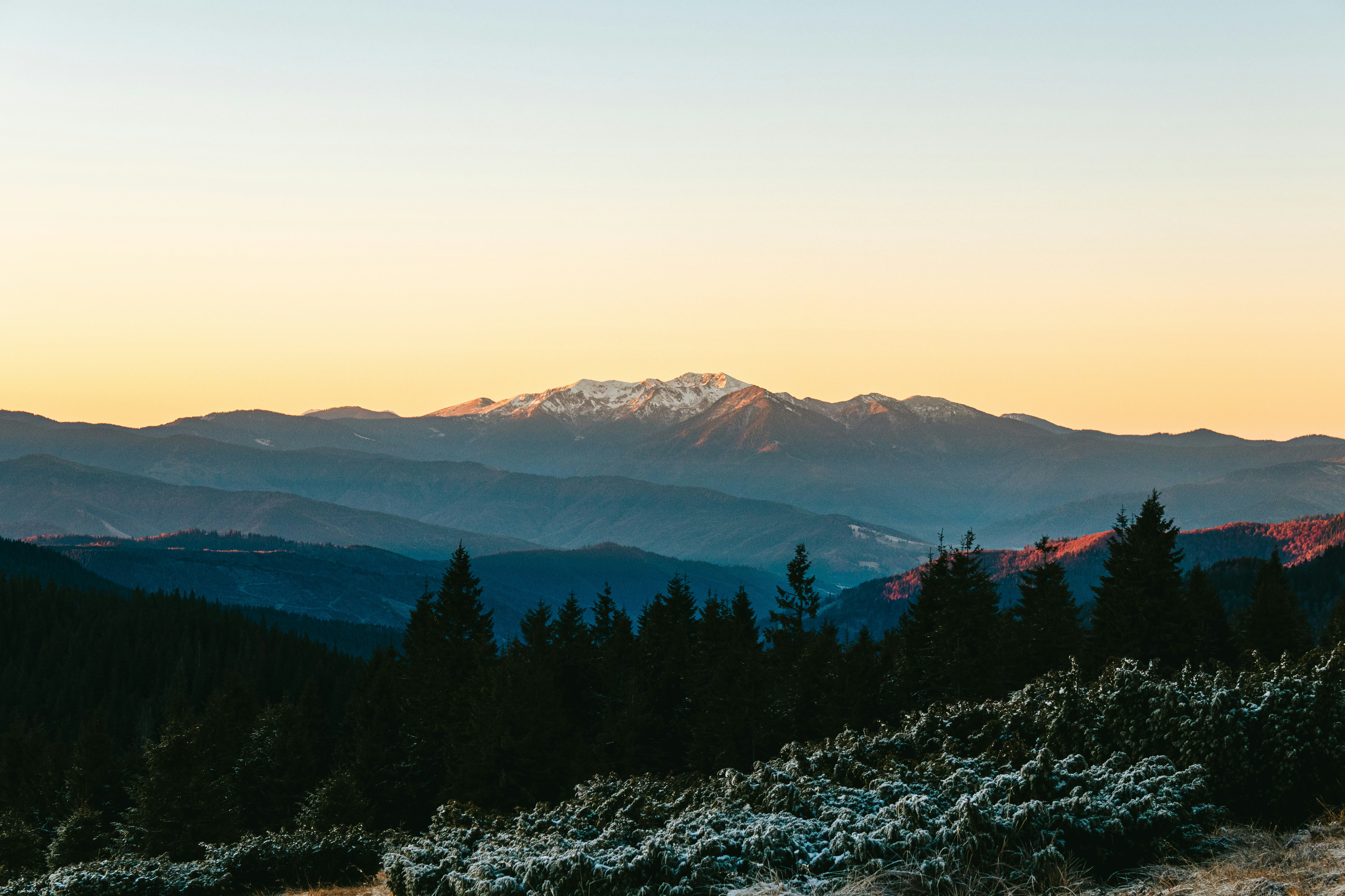 Photo by deni_eliash