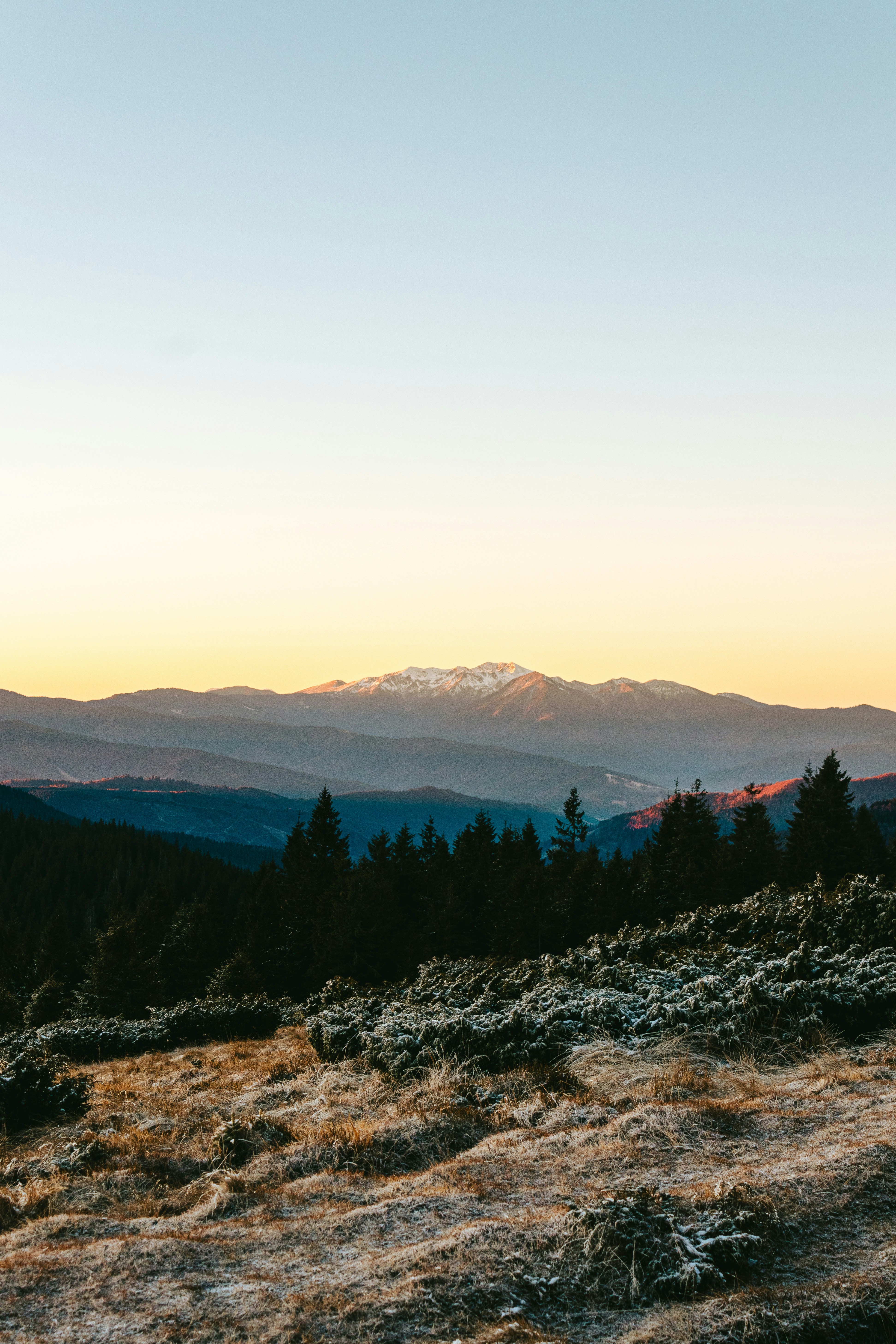 Photo by deni_eliash