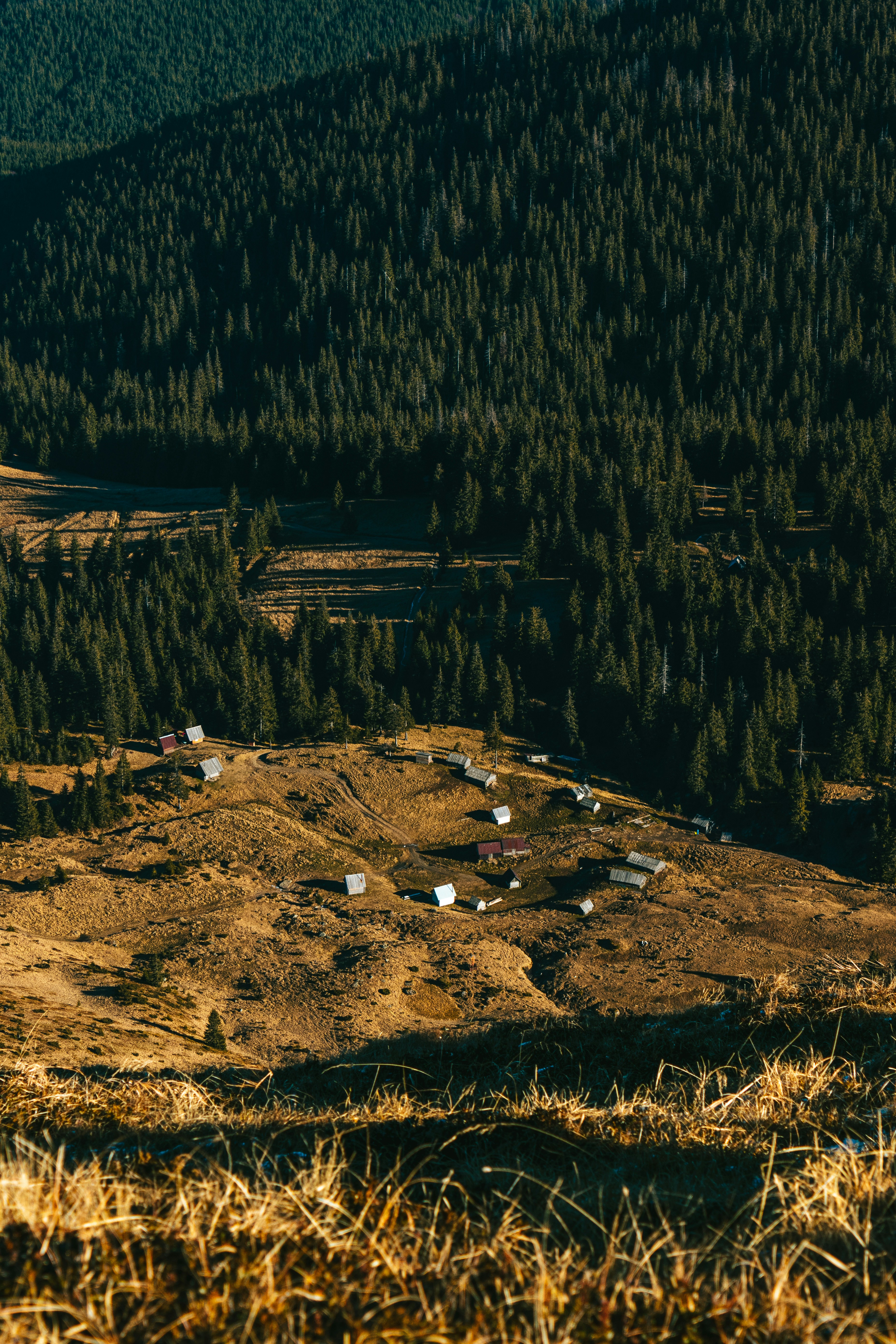 Photo by deni_eliash