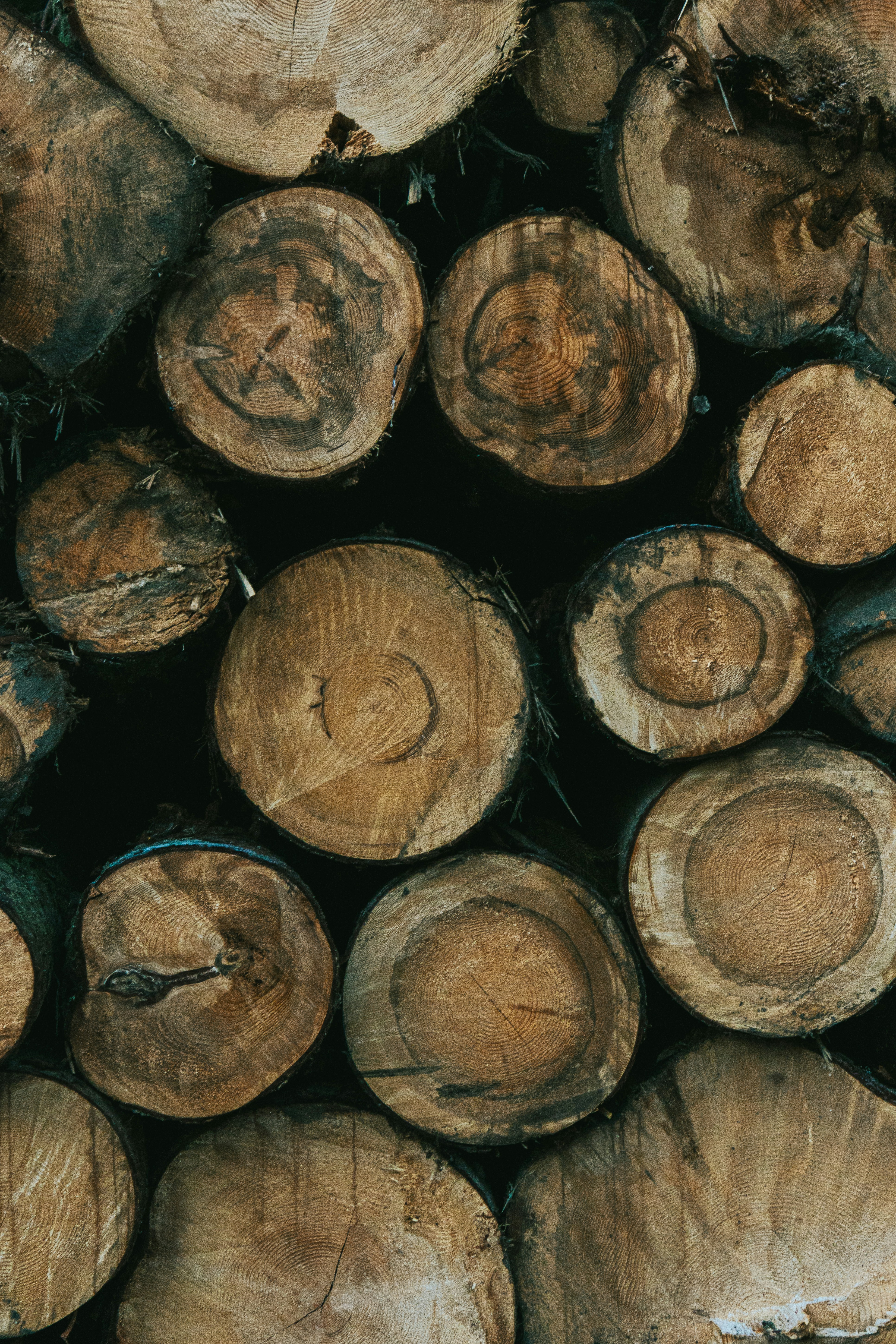 Photo by deni_eliash