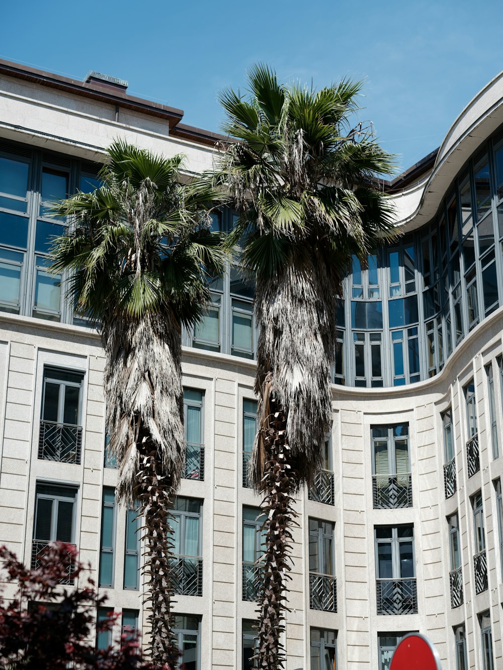 two palm trees in front of a building