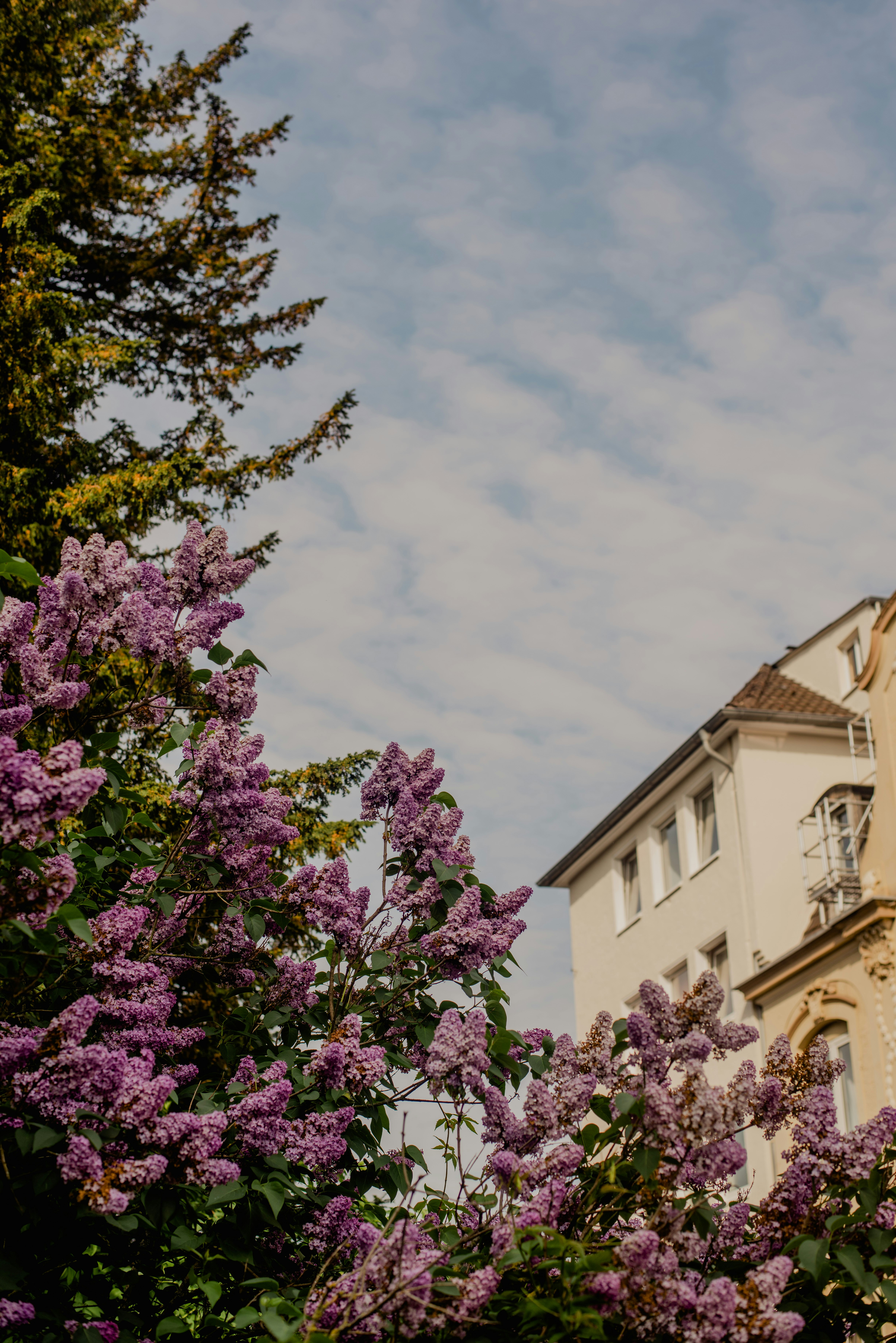 Photo by eugenivy_now