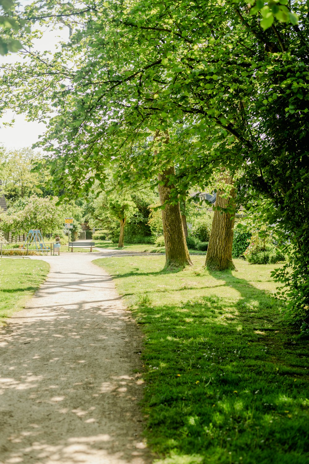 a path in the middle of a lush green park