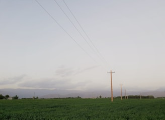 A rural landscape features a series of wooden utility poles extending into the distance, set against a backdrop of expansive green fields and distant mountains. The sky is overcast with soft, diffused lighting and a few clouds.