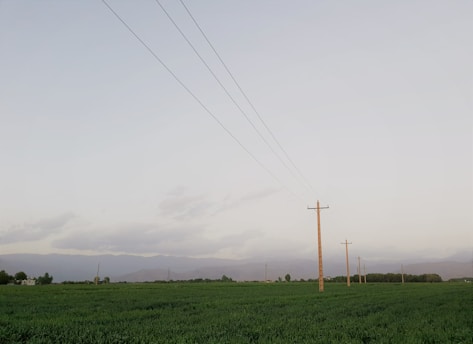A rural landscape features a series of wooden utility poles extending into the distance, set against a backdrop of expansive green fields and distant mountains. The sky is overcast with soft, diffused lighting and a few clouds.