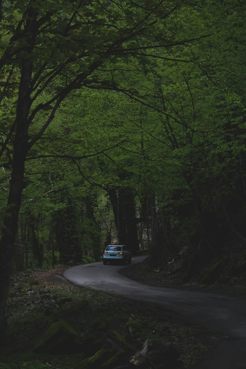 a blue van driving down a forest road