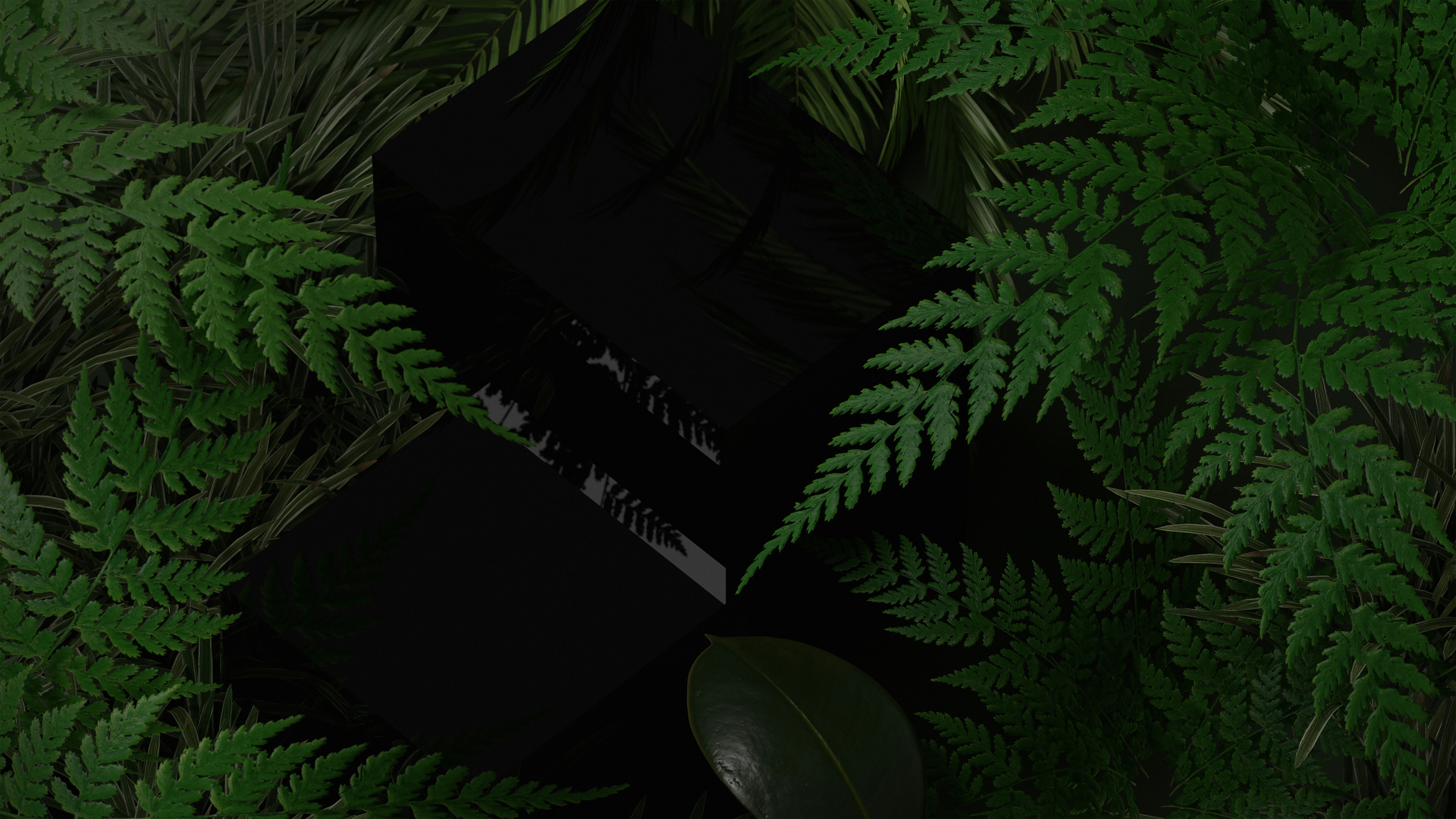 a black box surrounded by green plants and leaves