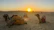 A serene desert landscape near Marrakech at sunset with camels silhouetted.