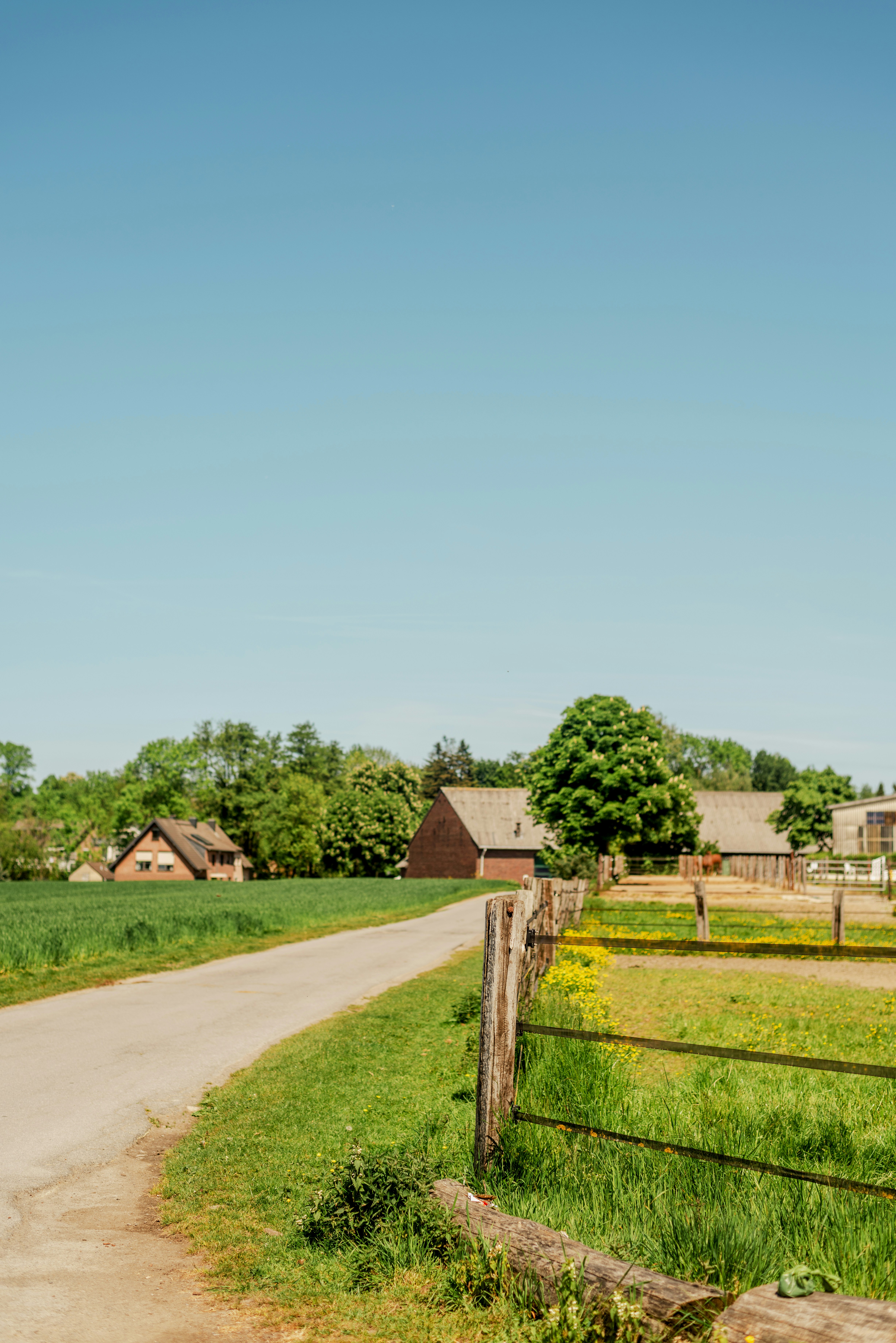 A rural road with a fence and a farm in the background photo – Free ...