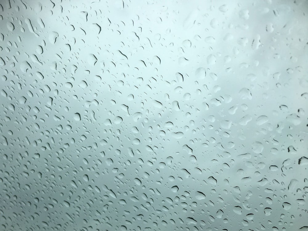 rain drops on the glass of a window