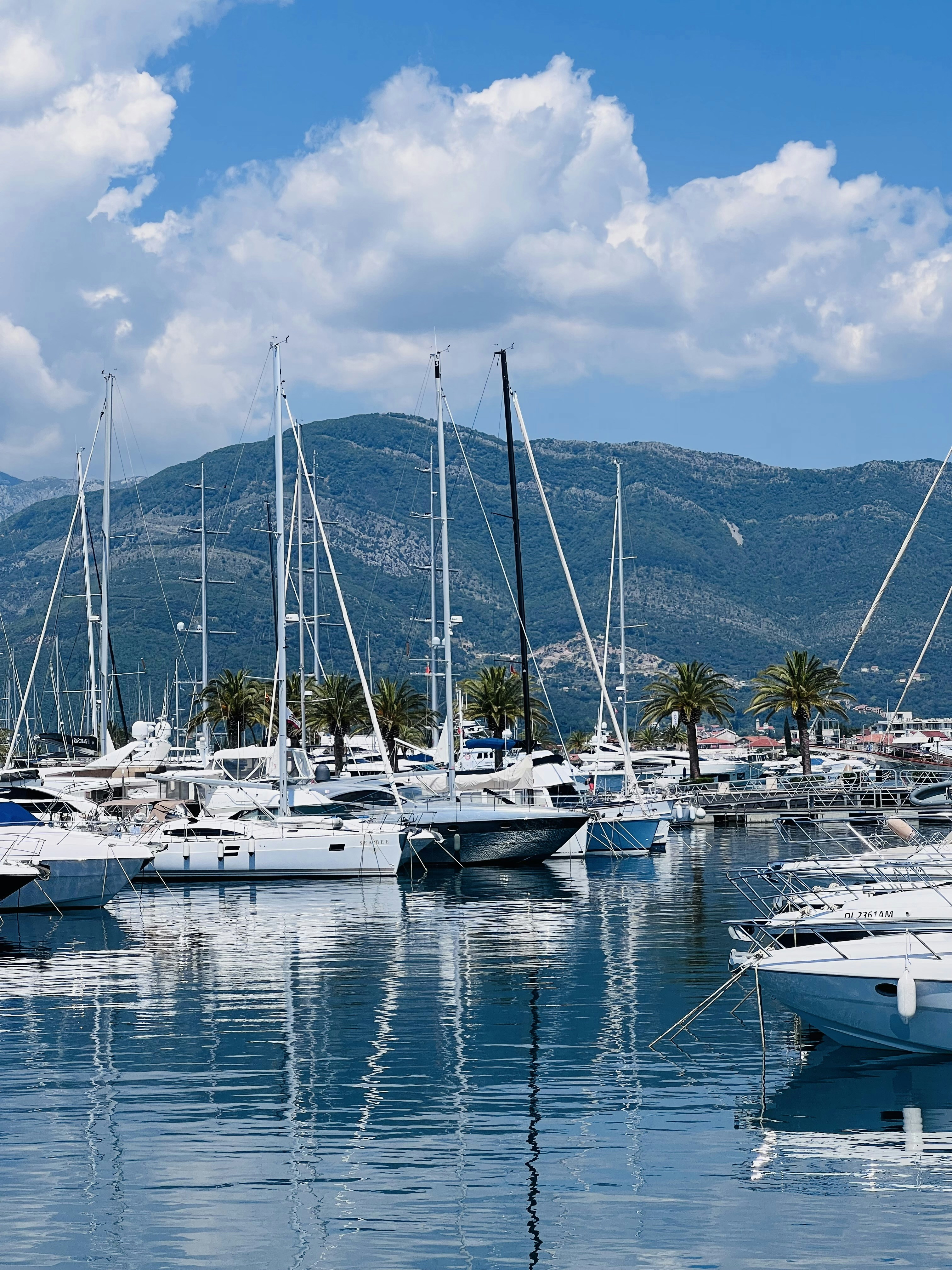 Tivat travel photo